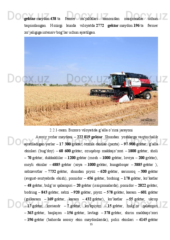 gektar   maydon   438   ta   fermer   xo‘jaliklari   tomonidan   issiqxonalar   uchun
taqsimlangan.   Hozirgi   kunda   viloyatda   2772   gektar   maydon   196   ta   fermer
xo‘jaligiga intensiv bog‘lar uchun ajratilgan.
2.2.1-rasm. Buxoro viloyatida g’alla o’rimi jarayoni
  Asosiy yerlar maydoni –   222 019 gektar . Shundan: yoshlarga vaqtinchalik
ajratiladigan yerlar –   17 300   gektar; texnik ekinlar  (paxta)  –   97 900   gektar; g‘alla
ekinlari   (bug‘doy)   –   60   600   gektar;   ozuqabop   makkajo‘xori   –   1800   gektar;   sholi
–   70   gektar;   dukkaklilar   –   1200   gektar   (mosh   –   1000   gektar,   loviya   –   200   gektar);
moyli   ekinlar   –   4885   gektar   (soya   –   1000   gektar,   kungaboqar   –   3885   gektar   );
sabzavotlar   –   7732   gektar,   shundan   piyoz   –   620   gektar,   sarimsoq   –   300   gektar
(avgust-sentyabrda   ekish);   pomidor   –   456   gektar,   bodring   –   178   gektar,   ko‘katlar
–   48   gektar, bulg‘or qalampiri –   20   gektar (issiqxonalarda); pomidor –   2022   gektar,
bodring   –   843   gektar,   sabzi   –   920   gektar,   piyoz   –   578   gektar,   karam   –   601   gektar
(gulkaram   –   169   gektar,   karam   –   432   gektar),   ko‘katlar   –   55   gektar,   ukrop
–   17   gektar,   koriandr   –   7   gektar,   ko‘kpiyoz   –   15   gektar,   bulg‘or   qalampiri
–   363   gektar,   baqlajon   –   156   gektar,   lavlagi   –   378   gektar,   shirin   makkajo‘xori
–   196   gektar   (bahorda   asosiy   ekin   maydonlarida);   poliz   ekinlari   –   4145   gektar
15 