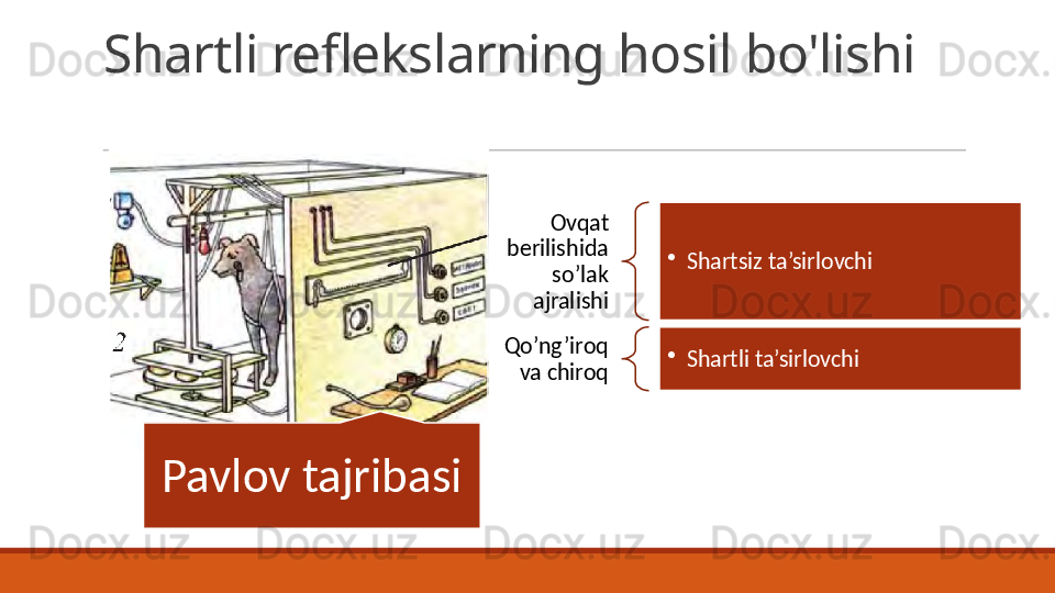 Shartli reflekslarning hosil bo'lishi
Pavlov tajribasi Ovqat 
berilishida 
so’lak 
ajralishi •
Shartsiz ta’sirlovchi
Qo’ng’iroq 
va chiroq •
Shartli ta’sirlovchi 