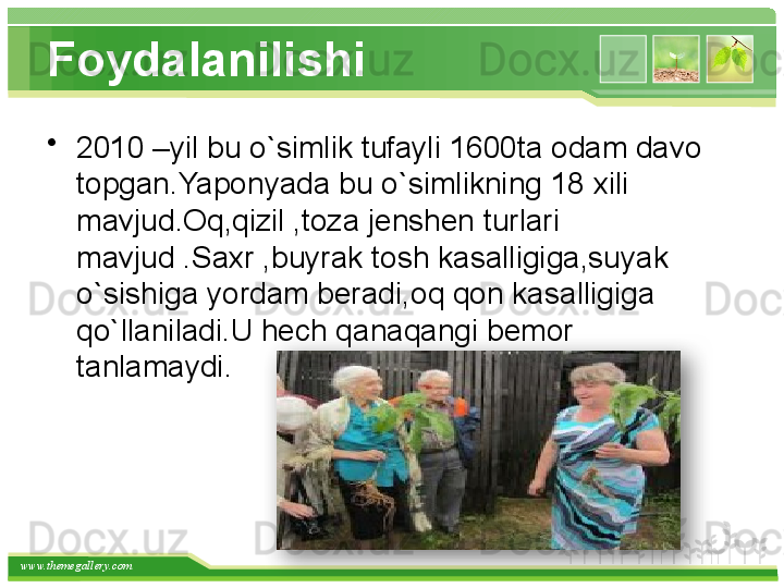 www.themegallery.com Foydalanilishi
•
2010 –yil bu o`simlik tufayli 1600ta odam davo 
topgan.Yaponyada bu o`simlikning 18 xili 
mavjud.Oq,qizil ,toza jenshen turlari 
mavjud .Saxr ,buyrak tosh kasalligiga,suyak 
o`sishiga yordam beradi,oq qon kasalligiga 
qo`llaniladi.U hech qanaqangi bemor 
tanlamaydi.    