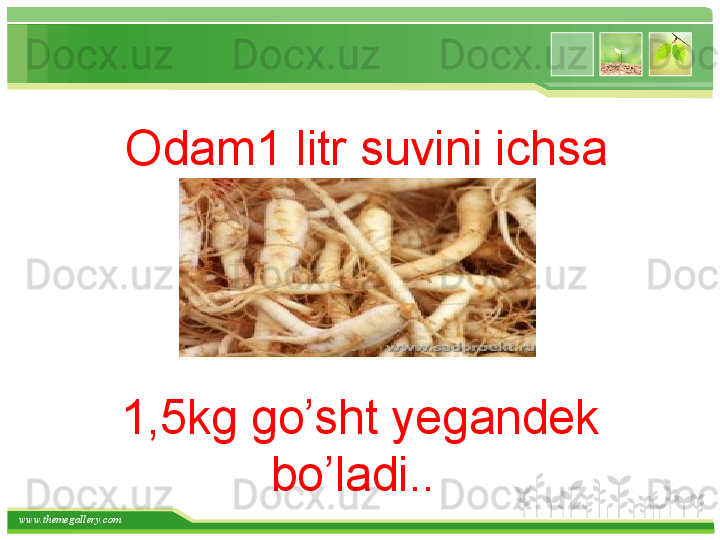 www.themegallery.com    Odam1 litr suvini ichsa 
 
1,5kg go’sht yegandek 
bo’ladi..    