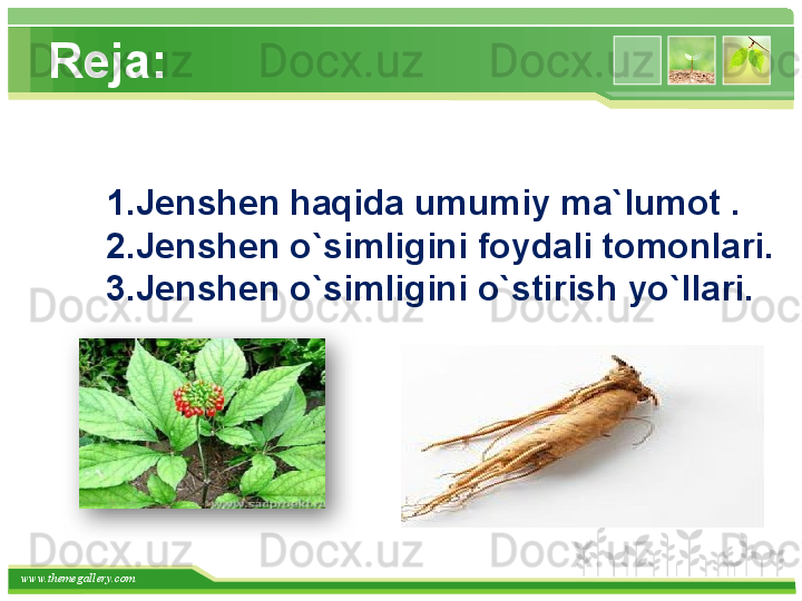 www.themegallery.com Reja:
1.Jenshen haqida umumiy ma`lumot .
2.Jenshen o`simligini foydali tomonlari.
3.Jenshen o`simligini o`stirish yo`llari.     