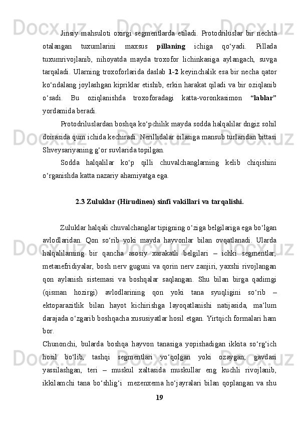 Jinsiy   mahsuloti   oxirgi   segmentlarda   etiladi.   Protodriluslar   bir   nechta
otalangan   tuxumlarini   maxsus   pillaning   ichiga   qo‘yadi.   Pillada
tuxumrivojlanib,   ni h oyatda   mayda   troxofor   lichinkasiga   aylangach,   suvga
tarqaladi. Ularning troxoforlarida daslab   1-2   keyinchalik esa bir necha qator
ko‘ndalang joylashgan kipriklar etishib, erkin harakat qiladi va bir oziqlanib
o‘sadi.   Bu   oziqlanishda   troxoforadagi   katta-voronkasimon   “lablar”
yordamida beradi.
   Protodriluslardan boshqa ko‘pchilik mayda sodda halqalilar dngiz sohil
doirasida qum ichida kechiradi. Nerillidalar oilasiga mansub turlaridan bittasi
S h veysariyaning g‘or suvlarida topilgan.
Sodda   halqalilar   ko‘p   qilli   chuvalchanglarning   kelib   chiqishini
o‘rganishda katta nazariy ahamiyatga ega.
2.3  Zuluklar (Hirudinea) sinfi vakillari va tarqalishi.
Zuluklar halqali chuvalchanglar tipigning o‘ziga belgilariga ega bo‘lgan
avlodlaridan.   Qon   so‘rib   yoki   mayda   hayvonlar   bilan   ovqatlanadi.   Ularda
halqalilarning   bir   qancha   asosiy   xarakatli   belgilari   –   ichki   segmentlar,
metanefridiyalar, bosh nerv guguni va qorin nerv zanjiri, yaxshi rivojlangan
qon   aylanish   sistemasi   va   boshqalar   saqlangan.   Shu   bilan   birga   qadimgi
(qisman   hozirgi)   avlodlarining   qon   yoki   tana   syuqligini   so‘rib   –
ektoparazitlik   bilan   hayot   kichirishga   layoqatlanishi   natijasida,   ma’lum
darajada o‘zgarib boshqacha xususiyatlar hosil etgan. Yirtqich formalari ham
bor.
Chunonchi,   bularda   boshqa   hayvon   tanasiga   yopishadigan   ikkita   so‘rg‘ich
hosil   bo‘lib,   tashqi   segmentlari   yo‘qolgan   yoki   ozaygan;   gavdasi
yassilashgan,   teri   –   muskul   xaltasida   muskullar   eng   kuchli   rivojlanib,
ikkilamchi   tana   bo‘shlig‘i     mezenxema   ho‘jayralari   bilan   qoplangan   va   shu
19 