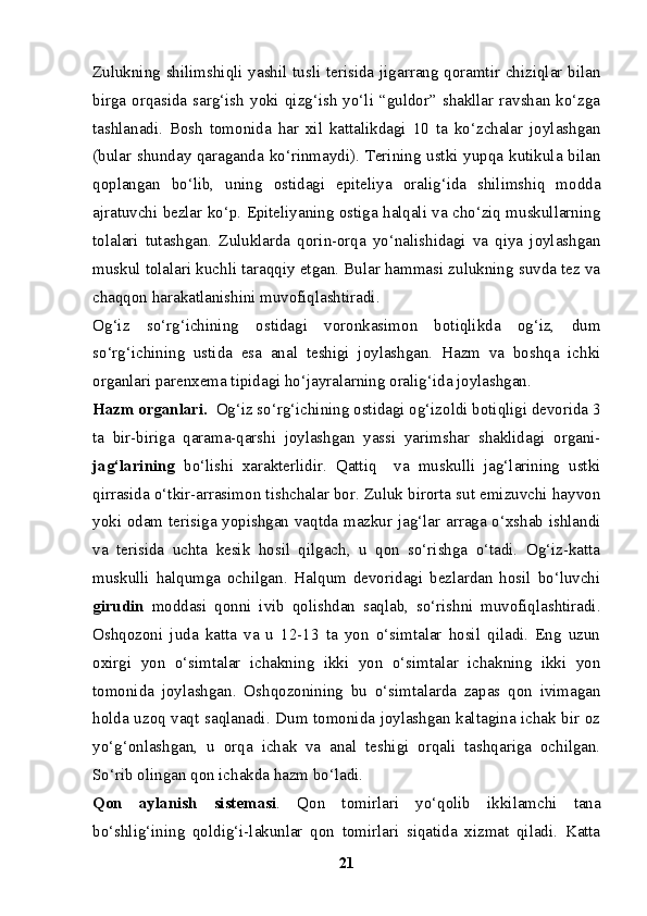 Zulukning shilimshiqli yashil tusli terisida jigarrang qoramtir chiziqlar bilan
birga  orqasida  sarg‘ish   yoki  qizg‘ish   yo‘li  “guldor”  shakllar  ravshan  ko‘zga
tashlanadi.   Bosh   tomonida   har   xil   kattalikdagi   10   ta   ko‘zchalar   joylashgan
(bular shunday qaraganda ko‘rinmaydi). Terining ustki yupqa kutikula bilan
qoplangan   bo‘lib,   uning   ostidagi   epiteliya   oralig‘ida   shilimshiq   modda
ajratuvchi bezlar ko‘p. Epiteliyaning ostiga halqali va cho‘ziq muskullarning
tolalari   tutashgan.   Zuluklarda   qorin-orqa   yo‘nalishidagi   va   qiya   joylashgan
muskul tolalari kuchli taraqqiy etgan. Bular hammasi zulukning suvda tez va
chaqqon harakatlanishini muvofiqlashtiradi. 
Og‘iz   so‘rg‘ichining   ostidagi   voronkasimon   botiqlikda   og‘iz,   dum
so‘rg‘ichining   ustida   esa   anal   teshigi   joylashgan.   Hazm   va   boshqa   ichki
organlari parenxema tipidagi ho‘jayralarning oralig‘ida joylashgan.
Hazm organlari.   Og‘iz so‘rg‘ichining ostidagi og‘izoldi botiqligi devorida 3
ta   bir-biriga   qarama-qarshi   joylashgan   yassi   yarimshar   shaklidagi   organi-
jag‘larining   bo‘lishi   xarakterlidir.   Qattiq     va   muskulli   jag‘larining   ustki
qirrasida o‘tkir-arrasimon tishchalar bor. Zuluk birorta sut emizuvchi hayvon
yoki odam terisiga yopishgan vaqtda mazkur jag‘lar arraga o‘xshab ishlandi
va   terisida   uchta   kesik   hosil   qilgach,   u   qon   so‘rishga   o‘tadi.   Og‘iz-katta
muskulli   halqumga   ochilgan.   Halqum   devoridagi   bezlardan   hosil   bo‘luvchi
girudin   moddasi   qonni   ivib   qolishdan   saqlab,   so‘rishni   muvofiqlashtiradi.
Oshqozoni   juda   katta   va   u   12-13   ta   yon   o‘simtalar   hosil   qiladi.   Eng   uzun
oxirgi   yon   o‘simtalar   ichakning   ikki   yon   o‘simtalar   ichakning   ikki   yon
tomonida   joylashgan.   Oshqozonining   bu   o‘simtalarda   zapas   qon   ivimagan
holda uzoq vaqt saqlanadi. Dum tomonida joylashgan kaltagina ichak bir oz
yo‘g‘onlashgan,   u   orqa   ichak   va   anal   teshigi   orqali   tashqariga   ochilgan.
So‘rib olingan qon ichakda hazm bo‘ladi.
Qon   aylanish   sistemasi .   Qon   tomirlari   yo‘qolib   ikkilamchi   tana
bo‘shlig‘ining   qoldig‘i-lakunlar   qon   tomirlari   siqatida   xizmat   qiladi.   Katta
21