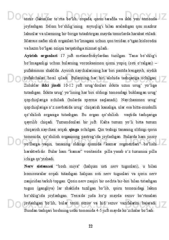 tomir   (lakun)lar   to‘rtta   bo‘lib,   orqada,   qorin   tarafda   va   ikki   yon   tomonda
joylashgan.   Selom   bo‘shlig‘ining     suyuqlig‘i   bilan   aralashgan   qon   mazkur
lakunlar va ularninng bir-biriga tutashtirgan mayda tomirlarda harakat etiladi.
Maxsus nafas olish organlari bo‘lmagani uchun qon teridan o‘tgan kislorodni
va hazm bo‘lgan oziqni tarqatishga xizmat qiladi.
Ayirish   organlari   17   juft   metanefridiylardan   tuzilgan.   Tana   bo‘shlig‘i
bo‘lmaganligi   uchun   bularning   voronkasimon   qismi   yopiq   (osti   o‘ralgan)   –
pufaksimon shaklda. Ayirish naychalarining har biri pastda kengayib, siydik
pufakchalari   hosil   qiladi.   Bularining   har   biri   alohida   tashqariga   ochilgan.
Zuluklar   ikki   jinsli   10-12   juft   urug‘donlari   ikkita   uzun   urug‘   yo‘liga
tutashgan. Ikkita urug‘ yo‘lining har biri oldingi tomondagi buklang a n urug‘
qopchiqlariga   ochiladi   (bularda   sperma   saqlanadi).   Naychasimon   urug‘
qopchiqlariga o‘z navbatida urug‘ chiqarish kanaliga, ular esa bitta-muskulli
qo‘shilish   organiga   tutashgan.   Bu   organ   qo‘shilish     vaqtida   tashqariga
qayrilib   chiqadi.   Tuxumdonlari   bir   juft.   Kalta   tuxum   yo‘li   bitta   tuxum
chiqarish naychasi orqali   qinga   ochilgan. Qin teshigi tananing oldingi-qorin
tomonida,   qo‘shilish   organining   pastrog‘ida   joylashgan.   Bularda   ham   jinsiy
yo‘llarga   yaqin,   tananing   oldingi   qismida   “kamar   segmentlari”   bo‘lishi
harakterlidir.   Bular   ham   “kamar”   vositasida     pilla   yasab   o‘z   tuxumini   pilla
ichiga qo‘yishadi.
Nerv   sistemasi   “bosh   miya”   (halqum   usti   nerv   tugunlari),   u   bilan
komissuralar   orqali   tutashgan   halqum   osti   nerv   tugunlari   va   qorin   nerv
zanjiridan tarkib topgan. Qorin nerv zanjiri bir nechta bir-biri bilan tutashgan
tugun   (gangliya)   lar   shaklida   tuzilgan   bo‘lib,   qoirn   tomonidagi   lakun
bo‘shlig‘ida   joylashgan.   Terisida   juda   ko‘p   mayda   sezuv   bo‘rtmalari
joylashgan   bo‘lib,   bular   terisi   sezuv   va   hid   sezuv   vazifalarini   bajaradi.
Bundan tashqari boshning ustki tomonida 4-5 juft mayda ko‘zchalar bo‘ladi.
22