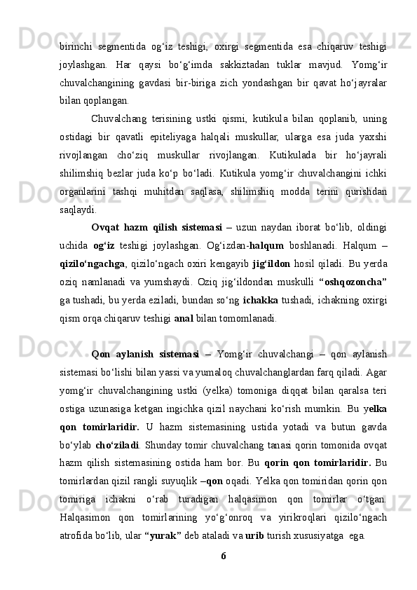 birinchi   segmentida   og‘iz   teshigi,   o x irgi   segmentida   esa   chiqaruv   teshigi
joylashgan.   Har   qaysi   bo‘g‘imda   sakkiztadan   tuklar   mavjud.   Y o mg‘ir
chuvalchangining   gavdasi   bir-biriga   zich   yondashgan   bir   qavat   ho‘jayralar
bilan qoplangan.
Chuvalchang   terisining   ustki   qismi,   kutikula   bilan   qoplanib,   uning
ostidagi   bir   qavatli   epiteliyaga   halqali   muskullar,   ularga   esa   juda   yaxshi
rivojlangan   cho‘ziq   muskullar   rivojlangan.   Kutikulada   bir   ho‘jayrali
shilimshiq   bezlar   juda   ko‘p   bo‘ladi.   Kutikula   yomg‘ir   chuvalchangini   ichki
organlarini   tashqi   muhitdan   saqlasa,   shilimshiq   modda   terini   qurishdan
saqlaydi.
Ovqat   hazm   qilish   sistemasi   –   uzun   naydan   iborat   bo‘lib,   oldingi
uchida   og‘iz   teshigi   joylashgan.   Og‘izdan- halqum   boshlanadi.   Halqum   –
qizilo‘ngachga , qizilo‘ngach oxiri kengayib   jig‘ildon   hosil qiladi. Bu yerda
oziq   namlanadi   va   yumshaydi.   Oziq   jig‘ildondan   muskulli   “oshqozoncha”
ga tushadi, bu yerda eziladi, bundan so‘ng  ichakka   tushadi, ichakning oxirgi
qism orqa chiqaruv teshigi  anal  bilan tomomlanadi.
Qon   aylanish   sistemasi   –   Y o mg‘ir   chuvalchangi   –   qon   aylanish
sistemasi bo‘lishi bilan yassi va yumaloq chuvalchanglardan farq qiladi. Agar
yomg‘ir   chuvalchangining   ustki   (yelka)   tomoniga   diqqat   bilan   qaralsa   teri
ostiga   uzunasiga   ketgan   ingichka   qizil   naychani   ko‘rish   mumkin.   Bu   y elka
qon   tomirlaridir.   U   hazm   sistemasining   ustida   yotadi   va   butun   gavda
bo‘ylab   cho‘ziladi . S h unday tomir chuvalchang tanasi qorin tomonida ovqat
hazm   qilish   sistemasining   ostida   ham   bor.   Bu   qorin   qon   tomirlaridir.   Bu
tomirlardan qizil rangli suyuqlik – qon  oqadi. Yelka qon tomiridan qorin qon
tomiriga   ichakni   o‘rab   turadigan   halqasimon   qon   tomirlar   o‘tgan.
Halqasimon   qon   tomirlarining   yo‘g‘onroq   va   yirikroqlari   qizilo‘ngach
atrofida bo‘lib, ular  “yurak”  deb ataladi va  urib  turish xususiyatga  ega.
6 