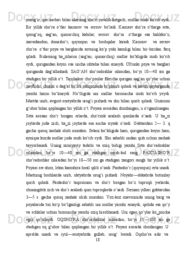 18yomg‘ir, qor suvlari bilan ularning sho‘ri yuvilib ketgach, mollar xush ko‘rib eydi.
Bir   yillik   sho‘ra   o‘tlar   kamsuv   va   sersuv   bo‘ladi.   Kamsuv   sho‘ra   o‘tlarga   seta,
qomg‘oq,   sag‘an,   qumorchiq   kabilar;   sersuv   sho‘ra   o‘tlarga   esa   balikko‘z,
xarradandon,   donasho‘r,   quyonjun   va   boshqalar   kiradi.   Kamsuv     va   sersuv
sho‘ra   o‘tlar poya va barglarida suvning ko‘p yoki kamligi bilan   bir-biridan   farq
qiladi.   Bularning   ba‗zilarini   (sag‘an,   qumorchiq)   mollar   ko‘kligida   xush   ko‘rib
eydi,   qurigandan   keyin   esa   uncha   ishtaha   bilan   emaydi.   CHunki   poya   va   barglari
quriganda   dag‘allashadi.   SAG‘AN   sho‘radoshlar   oilasidan,   bo‘yi   10—40   sm   ga
etadigan bir yillik o‘t. Tajribakor cho‘ponlar fikricha qurigan sag‘an qo‘ylar uchun
xavflidir, chunki u dag‘al bo‘lib oshqozonda to‘planib qoladi va kavsh qaytarganda
yaxshi   hazm   bo‘lmaydi.   Ho‘lligida   uni   mollar   birmuncha   xush   ko‘rib   yeydi.
Martda unib, avgust-sentyabrda urug‘i pishadi va shu bilan qurib qoladi. Unsimon
g‘ubor bilan qoplangan bir yillik o‘t. Poyasi asosidan shoxlangan, u o‘rganilmagan.
Seta   asosan   sho‘r   bosgan   erlarda,   sho‘rxok   aralash   qumlarda   o‘sadi.   U   ba‗zi
joylarda   juda   zich,   ba‗zi   joylarda   esa   ancha   siyrak   o‘sadi.   Gektaridan   2—   3.   q
gacha quruq xashak olish mumkin. Setani ko‘kligida ham, qurigandan keyin ham,
ayniqsa kuzda mollar juda xush ko‘rib eydi. Shu sababli undan qish uchun xashak
tayyorlanadi.   Uning   ximiyaviy   tarkibi   va   oziq   birligi   yaxshi   Seta   sho‘radoshlar
oilasidan,   bo‘yi   10—40   sm   ga   etadigan   oqish-kul   rang.   PAXTASHO‘R
sho‘radoshlar   oilasidan   bo‘yi   10—50   sm   ga   etadigan   zangori   rangli   bir   yillik   o‘t.
Poyasi   ser-shox,   lekin   kamshira   hosil   qilib   o‘sadi.   Paxtasho‘r   (quyonjun)   erta   unadi.
Martning   boshlarida   unib,   oktyabrda   urug‘i   pishadi.   Noyabr—dekabrda   butunlay
qurib   qoladi.   Paxtasho‘r   taqirsimon   va   sho‘r   bosgan   bo‘z   tuproqli   yerlarda,
shuningdek zich va sho‘r aralash qum tuproqlarda o‘sadi. Sernam yillari gektaridan
3—5   s.   gacha   quruq   xashak   olish   mumkin.   Yoz-kuz   mavsumida   uning   barg   va
poyalarida tuz ko‘p bo‘lganligi sababli uni mollar yaxshi  emaydi;  qishda esa qo‘y
va echkilar uchun birmuncha yaxshi oziq hisoblanadi. Uni egan qo‘ylar ko‗pincha
egiz   qo‘zilaydi.   OQSHO‘RA   sho‘radoshlar   oilasidan,   bo‘yi   15.—100   sm   ga
etadigan   oq   g‘ubor   bilan   qoplangan   bir   yillik   o‘t.   Poyasi   asosida   shoxlangan.   U
aprelda     unadi     va     iyul—sentyabrda     gullab,     urug‘     beradi.     Oqsho‘ra     adir     va 