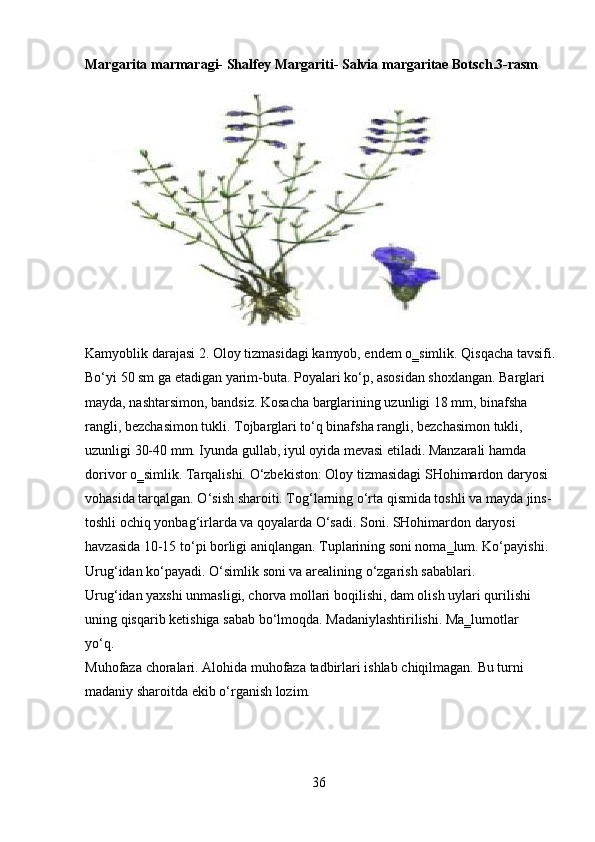 36Margarita   marmaragi-   Shalfey   Margariti-   Salvia   margaritae   Botsch.3- rasm
Kamyoblik   darajasi   2.   Oloy   tizmasidagi   kamyob,   endem o‗simlik.   Qisqacha   tavsifi.
Bo‘yi 50 sm ga etadigan yarim-buta. Poyalari ko‘p, asosidan shoxlangan. Barglari 
mayda, nashtarsimon, bandsiz. Kosacha barglarining uzunligi 18 mm, binafsha 
rangli, bezchasimon tukli. Tojbarglari to‘q binafsha rangli, bezchasimon tukli, 
uzunligi 30-40 mm. Iyunda gullab, iyul oyida mevasi etiladi. Manzarali hamda 
dorivor o‗simlik. Tarqalishi. O‘zbekiston: Oloy tizmasidagi SHohimardon daryosi 
vohasida tarqalgan. O‘sish sharoiti. Tog‘larning o‘rta qismida toshli va mayda jins- 
toshli ochiq yonbag‘irlarda va qoyalarda O‘sadi. Soni. SHohimardon daryosi 
havzasida 10-15 to‘pi borligi aniqlangan. Tuplarining soni noma‗lum. Ko‘payishi.
Urug‘idan   ko‘payadi.   O‘simlik   soni   va   arealining   o‘zgarish   sabablari.  
Urug‘idan yaxshi unmasligi, chorva mollari boqilishi, dam olish uylari qurilishi 
uning qisqarib ketishiga sabab bo‘lmoqda. Madaniylashtirilishi. Ma‗lumotlar 
yo‘q.
Muhofaza   choralari.   Alohida   muhofaza   tadbirlari   ishlab   chiqilmagan.   Bu turni 
madaniy sharoitda ekib o‘rganish lozim. 