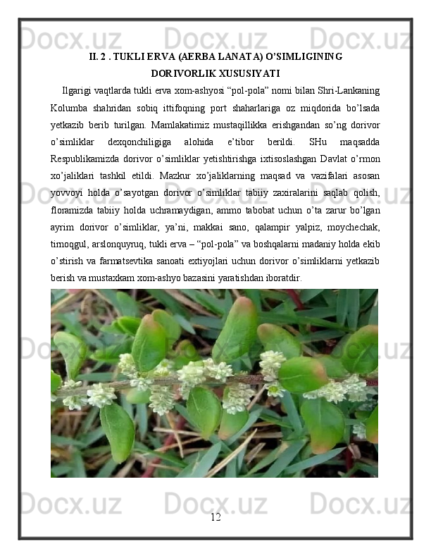 II. 2 . TUKLI ERVA (AERBA LANATA) O’SIMLIGINING
DORIVORLIK XUSUSIYATI
     Ilgarigi vaqtlarda tukli erva xom-ashyosi “pol-pola” nomi bilan Shri-Lankaning
Kolumba   shahridan   sobiq   ittifoqning   port   shaharlariga   oz   miqdorida   bo’lsada
yetkazib   berib   turilgan.   Mamlakatimiz   mustaqillikka   erishgandan   so’ng   dorivor
o’simliklar   dexqonchiligiga   alohida   e’tibor   berildi.   SHu   maqsadda
Respublikamizda   dorivor   o’simliklar   yetishtirishga   ixtisoslashgan   Davlat   o’rmon
xo’jaliklari   tashkil   etildi.   Mazkur   xo’jaliklarning   maqsad   va   vazifalari   asosan
yovvoyi   holda   o’sayotgan   dorivor   o’simliklar   tabiiy   zaxiralarini   saqlab   qolish,
floramizda   tabiiy   holda   uchramaydigan,   ammo   tabobat   uchun   o’ta   zarur   bo’lgan
ayrim   dorivor   o’simliklar,   ya’ni,   makkai   sano,   qalampir   yalpiz,   moychechak,
tirnoqgul, arslonquyruq, tukli erva – “pol-pola” va boshqalarni madaniy holda ekib
o’stirish   va  farmatsevtika   sanoati   extiyojlari  uchun  dorivor  o’simliklarni   yetkazib
berish va mustaxkam xom-ashyo bazasini yaratishdan iboratdir.
12 