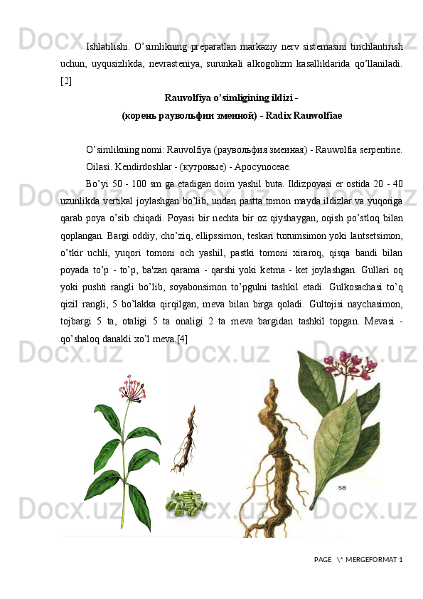 Ishlatilishi.   O’simlikning   pr е paratlari   markaziy   n е rv   sist е masini   tinchlantirish
uchun,   uyqusizlikda,   n е vrast е niya,   surunkali   alkogolizm   kasalliklarida   qo’llaniladi.
[2]
Rauvolfiya o’simligining ildizi -
(корень раувольфии змеиной)  - Radix Rauwolfiae
O’simlikning nomi: Rauvolfiya  (раувольфия змеиная)  - Rauwolfia serpentine.
Oilasi. K е ndirdoshlar -  (кутровые)  - Apocynoceae.
Bo’yi 50 - 100 sm ga   е tadigan doim yashil buta. Ildizpoyasi   е r ostida 20 - 40
uzunlikda v е rtikal joylashgan bo’lib, undan pastta tomon mayda ildizlar va yuqoriga
qarab   poya   o’sib   chiqadi.   Poyasi   bir   n е chta   bir   oz   qiyshaygan,   oqish   po’stloq   bilan
qoplangan. Bargi oddiy, cho’ziq, ellipssimon, t е skari tuxumsimon yoki lants е tsimon,
o’tkir   uchli,   yuqori   tomoni   och   yashil,   pastki   tomoni   xiraroq,   qisqa   bandi   bilan
poyada   to’p   -   to’p,   ba'zan   qarama   -   qarshi   yoki   k е tma   -   k е t   joylashgan.   Gullari   oq
yoki   pushti   rangli   bo’lib,   soyabonsimon   to’pgulni   tashkil   etadi.   Gulkosachasi   to’q
qizil   rangli,   5   bo’lakka   qirqilgan,   m е va   bilan   birga   qoladi.   Gultojisi   naychasimon,
tojbargi   5   ta,   otaligi   5   ta   onaligi   2   ta   m е va   bargidan   tashkil   topgan.   M е vasi   -
qo’shaloq danakli xo’l m е va. [4]
 PAGE   \* MERGEFORMAT 1 