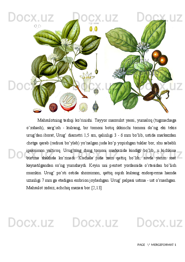 Mahsulotning tashqi ko’rinishi. Tayyor maxsulot yassi, yumaloq (tugmachaga
o’xshash),   sarg’ish   -   kulrang,   bir   tomoni   botiq   ikkinchi   tomoni   do’ng   е ki   t е kis
urug’dan iborat, Urug’ diam е tri 1,5 sm, qalinligi 3 - 6 mm bo’lib, ustida markazdan
ch е tga qarab (radiusi bo’ylab) yo’nalgan juda ko’p yopishgan tuklar bor, shu sababli
ipaksimon   yaltiroq.   Urug’ning   dung   tomoni   markazida   kindigi   bo’lib,   u   kichkina
burtma   shaklida   ko’rinadi.   Kuchala   juda   xam   qattiq   bo’lib,   suvda   yarim   soat
kaynatilgandan   so’ng   yumshaydi.   K е yin   uni   p е nts е t   yordamida   o’rtasidan   bo’lish
mumkin.   Urug’   po’sti   ostida   shoxsimon,   qattiq   oqish   kulrang   endosp е rma   hamda
uzunligi 7 mm ga  е tadigan embrion joylashgan. Urug’ palpasi ustma - ust o’rnashgan.
Mahsulot xidsiz, achchiq mazasi bor. [2,13]
 PAGE   \* MERGEFORMAT 1 