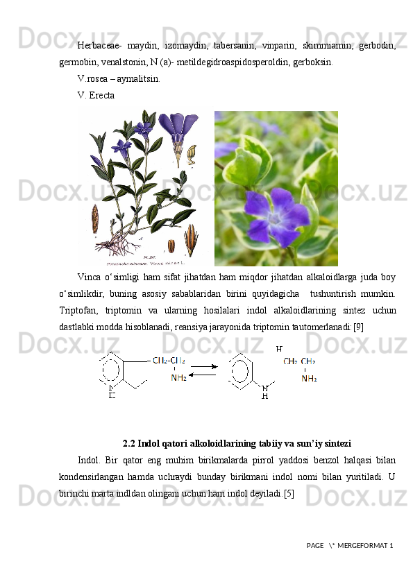 Herbaceae-   maydin,   izomaydin,   tabersanin,   vinparin,   skimmiamin,   gerbodin,
germobin, venalstonin, N (a)- metildegidroaspidosperoldin, gerboksin.
V.rosea – aymalitsin.
V. Erec ta
Vinca   o‘simligi   ham   sifat   jihatdan   ham   miqdor   jihatdan   alkaloidlarga   juda   boy
o‘simlikdir,   buning   asosiy   sabablaridan   birini   quyidagicha     tushuntirish   mumkin.
Triptofan,   triptomin   va   ularning   hosilalari   indol   alkaloidlarining   sintez   uchun
dastlabki modda hisoblanadi, reansiya jarayonida triptomin tautomerlanadi: [9]
       
2 .2 Indol qatori alkoloidlarining tabiiy va sun ’ iy sintezi
Indol.   Bir   qator   eng   muhim   birikmalarda   pirrol   yaddosi   benzol   halqasi   bilan
kondensirlangan   hamda   uchraydi   bunday   birikmani   indol   nomi   bilan   yuritiladi.   U
birinchi marta indldan olingani uchun ham indol deyiladi. [5]
 PAGE   \* MERGEFORMAT 1 