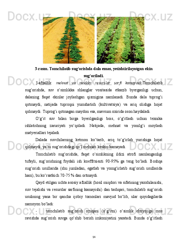 3-rasm.   Tomchilatib sug‘orishda dala emas, yetishtirilayotgan ekin
sug‘oriladi.
3-afzallik:   mehnat   va   moddiy   resurslar   sarfi   kamayadi. Tomchilatib
sug‘orishda,   suv   o‘simlikka   shlanglar   vositasida   etkazib   byerganligi   uchun,
dalaning   faqat   ekinlar   joylashgan   qismigina   namlanadi.   Bunda   dala   tuprog‘i
qotmaydi,   natijada   tuproqni   yumshatish   (kultivatsiya)   va   ariq   olishga   hojat
qolmaydi. Tuprog‘i qotmagan maydon esa, mavsum oxirida oson haydaladi. 
O‘g‘it   suv   bilan   birga   byerilganligi   bois,   o‘g‘itlash   uchun   texnika
ishlatishning   zaruriyati   yo‘qoladi.   Natijada,   mehnat   va   yonilg‘i   moylash
matyeriallari tejaladi. 
Dalada   suvchilarning   ketmon   ko‘tarib,   ariq   to‘g‘irlab   yurishiga   hojat
qolmaydi, ya’ni sug‘orishdagi qo‘l mehnati keskin kamayadi. 
Tomchilatib   sug‘orishda,   faqat   o‘simlikning   ildizi   atrofi   namlanganligi
tufayli,   sug‘orishning   foydali   ish   koeffitsienti   90-95%   ga   teng   bo‘ladi.   Boshqa
sug‘orish   usullarida   (shu   jumladan,   egatlab   va   yomg‘irlatib   sug‘orish   usullarida
ham), bu ko‘rsatkich 70-75 % dan ortmaydi. 
Qayd etilgan uchta asosiy afzallik (hosil miqdori va sifatining yaxshilanishi,
suv   tejalishi   va   resurslar   sarfining   kamayishi)   dan   tashqari,   tomchilatib   sug‘orish
usulining   yana   bir   qancha   ijobiy   tomonlari   mavjud   bo‘lib,   ular   quyidagilarda
namoyon bo‘ladi: 
- tomchilatib   sug‘orish   ozuqani   (o‘g‘itni)   o‘simlik   ehtiyojiga   mos
ravishda   sug‘orish   suvga   qo‘shib   berish   imkoniyatini   yaratadi.   Bunda   o‘g‘itlash
14 