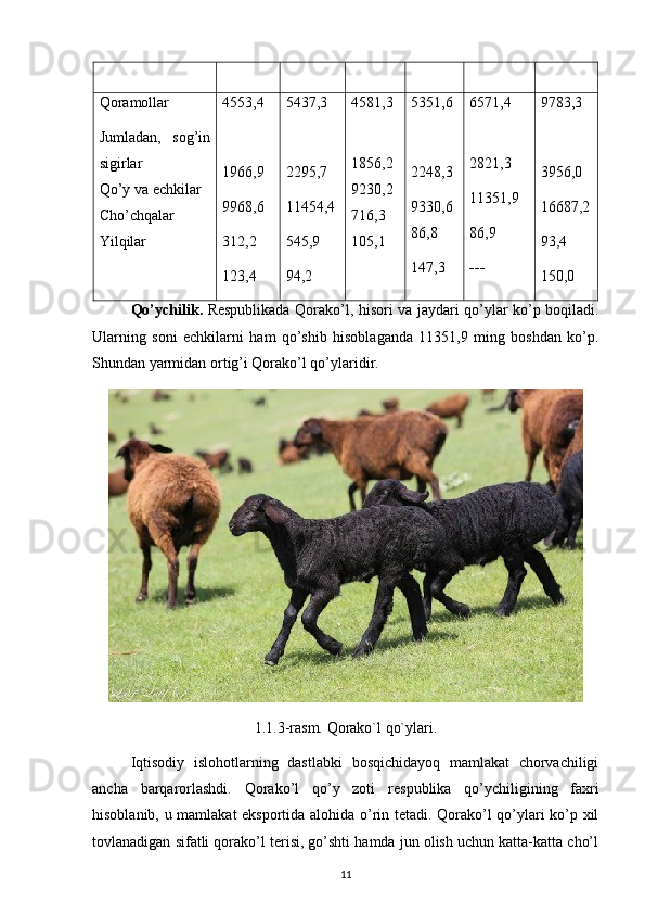 Qoramollar
Jumladan,   sog’in
sigirlar
Qo’y va echkilar 
Cho’chqalar
Yilqilar 4553,4
1966,9
9968,6
312,2
123,4 5437,3
2295,7
11454,4
545,9
94,2 4581,3
1856,2
9230,2
716,3
105,1 5351,6
2248,3
9330,6
86,8
147,3 6571,4
2821,3
11351,9
86,9
--- 9783,3
3956,0
16687,2
93,4
150,0
Qo’ychilik.   Respublikada Qorako’l, hisori va jaydari qo’ylar ko’p boqiladi.
Ularning   soni   echkilarni   ham   qo’shib   hisoblaganda   11351,9   ming   boshdan   ko’p.
Shundan yarmidan ortig’i Qorako’l qo’ylaridir.
1.1.3-rasm. Qorako`l qo`ylari.
Iqtisodiy   islohotlarning   dastlabki   bosqichidayoq   mamlakat   chorvachiligi
ancha   barqarorlashdi.   Qorako’l   qo’y   zoti   respublika   qo’ychiligining   faxri
hisoblanib, u mamlakat eksportida alohida o’rin tetadi. Qorako’l qo’ylari ko’p xil
tovlanadigan sifatli qorako’l terisi, go’shti hamda jun olish uchun katta-katta cho’l
11