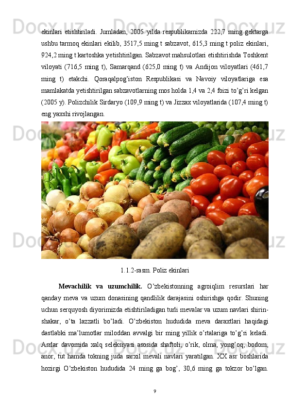 ekinlari   etishtiriladi.   Jumladan,   2005   yilda   respublikamizda   222,7   ming   gektarga
ushbu tarmoq ekinlari ekilib, 3517,5 ming t sabzavot, 615,3 ming t poliz ekinlari,
924,2 ming t kartoshka yetishtirilgan. Sabzavot mahsulotlari etishtirishda Toshkent
viloyati   (716,5   ming   t),   Samarqand   (625,0   ming   t)   va   Andijon   viloyatlari   (461,7
ming   t)   etakchi.   Qoraqalpog’iston   Respublikasi   va   Navoiy   viloyatlariga   esa
mamlakatda yetishtirilgan sabzavotlarning mos holda 1,4 va 2,4 foizi to’g’ri kelgan
(2005 y). Polizchilik Sirdaryo (109,9 ming t) va Jizzax viloyatlarida (107,4 ming t)
eng yaxshi rivojlangan.
1.1.2-rasm. Poliz ekinlari
Mevachilik   va   uzumchilik.   O’zbekistonning   agroiqlim   resurslari   har
qanday   meva   va   uzum   donasining   qandlilik   darajasini   oshirishga   qodir.   Shuning
uchun serquyosh diyorimizda etishtiriladigan turli mevalar va uzum navlari shirin-
shakar,   o’ta   lazzatli   bo’ladi.   O’zbekiston   hududida   meva   daraxtlari   haqidagi
dastlabki   ma’lumotlar   miloddan   avvalgi   bir   ming   yillik   o’rtalariga   to’g’ri   keladi.
Asrlar   davomida   xalq   seleksiyasi   asosida   shaftoli,   o’rik,   olma,   yong’oq,   bodom,
anor,   tut   hamda   tokning   juda   sarxil   mevali   navlari   yaratilgan.   XX   asr   boshlarida
hozirgi   O’zbekiston   hududida   24   ming   ga   bog’,   30,6   ming   ga   tokzor   bo’lgan.
9 