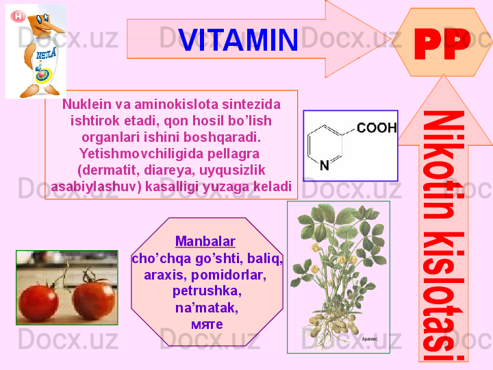 VITAMIN  
PP
Nuklein va aminokislota sintezida
ishtirok etadi ,  qon hosil bo’lish
organlari ishini boshqaradi .
Yetishmovchiligida   pellagra  
( dermatit ,  diareya ,  uyqusizlik
asabiylashuv )  kasalligi yuzaga keladi
Manbalar  
cho’chqa go’shti ,  baliq ,
araxis ,  pomidorlar , 
petrushka ,
na’matak ,
мяте      