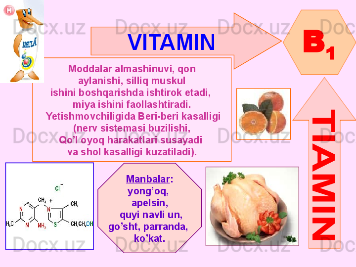 VITAMIN  
B
1
Moddalar almashinuvi, qon
aylanishi, silliq muskul
ishini boshqarishda ishtirok etadi, 
miya ishini faollashtiradi.
  Yetishmovchiligida Beri-beri kasalligi
( nerv sistemasi buzilishi ,
Qo’l oyoq harakatlari susayadi 
va shol kasalligi kuzatiladi ).
Manbalar :
yong’oq , 
apelsin ,
  quyi navli un ,
go’sht,   parranda , 
ko’kat .      