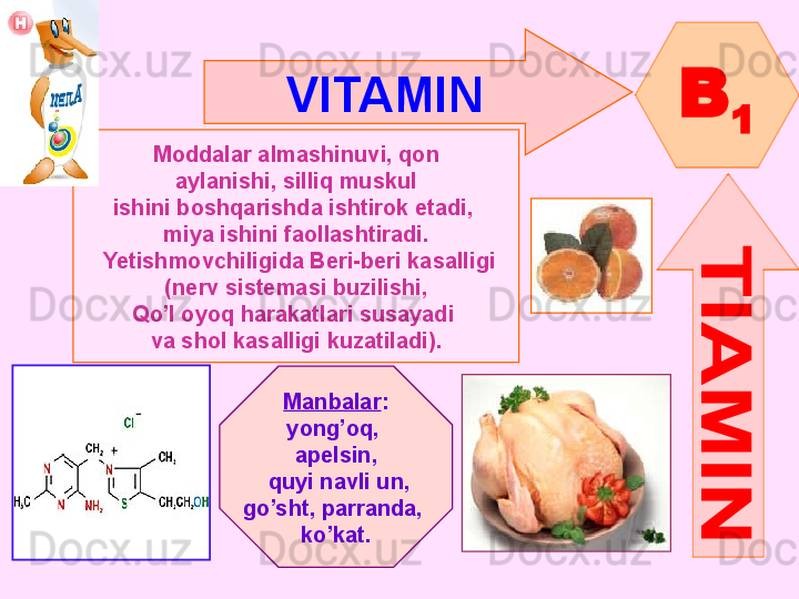 VITAMIN  
B
1
Moddalar almashinuvi, qon
aylanishi, silliq muskul
ishini boshqarishda ishtirok etadi, 
miya ishini faollashtiradi.
  Yetishmovchiligida Beri-beri kasalligi
( nerv sistemasi buzilishi ,
Qo’l oyoq harakatlari susayadi 
va shol kasalligi kuzatiladi ).
Manbalar :
yong’oq , 
apelsin ,
  quyi navli un ,
go’sht,   parranda , 
ko’kat .