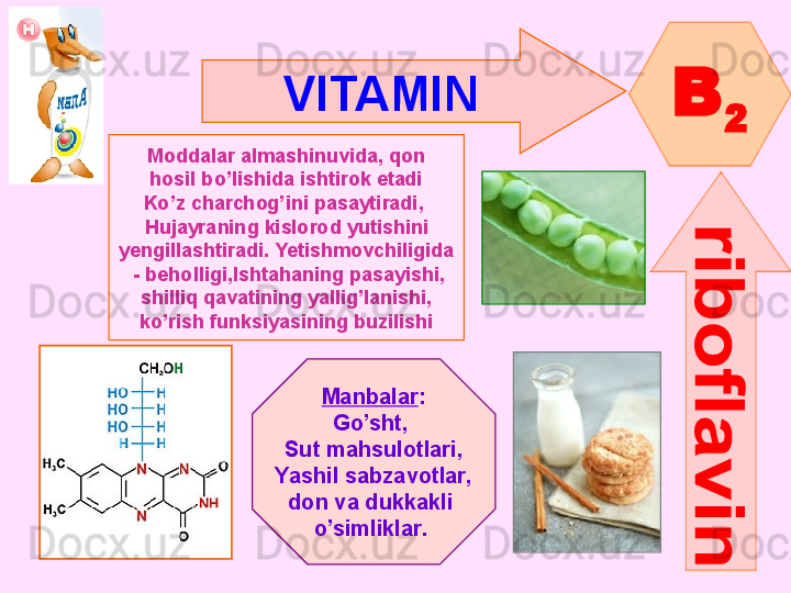 VITAMIN  
B
2
Moddalar almashinuvida, qon
hosil bo’lishida ishtirok etadi
Ko’z charchog’ini pasaytiradi , 
Hujayraning kislorod yutishini
yengillashtiradi .  Yetishmovchiligida
  -  beholligi , Ishtahaning pasayishi ,
shilliq qavatining yallig’lanishi ,
ko’rish funksiyasining buzilishi
Manbalar :
Go’sht , 
Sut mahsulotlari ,
Yashil sabzavotlar ,
don   va   dukkakli 
o’simliklar .       