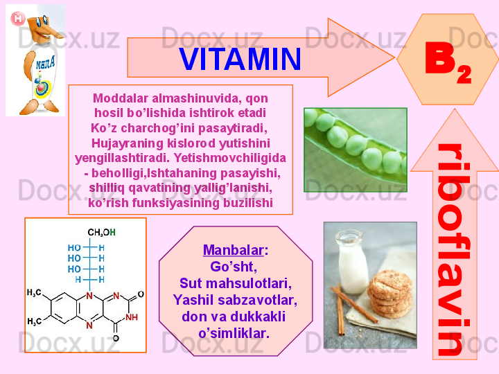 VITAMIN  
B
2
Moddalar almashinuvida, qon
hosil bo’lishida ishtirok etadi
Ko’z charchog’ini pasaytiradi , 
Hujayraning kislorod yutishini
yengillashtiradi .  Yetishmovchiligida
  -  beholligi , Ishtahaning pasayishi ,
shilliq qavatining yallig’lanishi ,
ko’rish funksiyasining buzilishi
Manbalar :
Go’sht , 
Sut mahsulotlari ,
Yashil sabzavotlar ,
don   va   dukkakli 
o’simliklar .