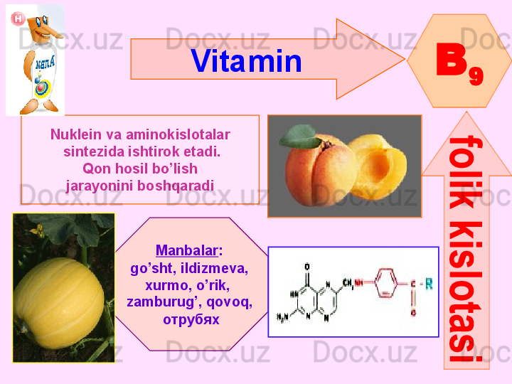 Vitamin  
B
9
Nuklein va aminokislotalar
  sintezida ishtirok etadi.
Qon hosil bo’lish
jarayonini boshqaradi
Manbalar :
go’sht ,  ildizmeva ,
xurmo ,  o’rik , 
zamburug’ ,  qovoq ,
  отрубях      