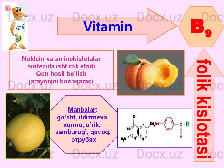 Vitamin  
B
9
Nuklein va aminokislotalar
  sintezida ishtirok etadi.
Qon hosil bo’lish
jarayonini boshqaradi
Manbalar :
go’sht ,  ildizmeva ,
xurmo ,  o’rik , 
zamburug’ ,  qovoq ,
  отрубях
