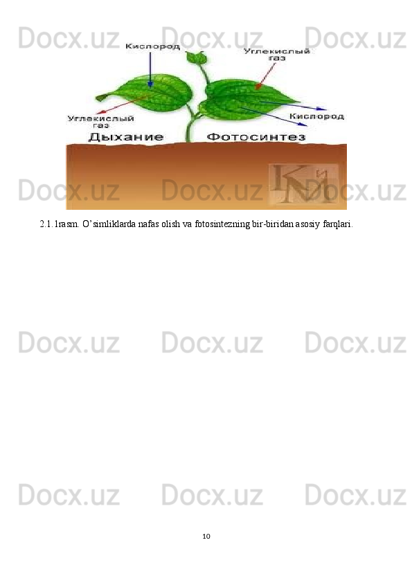 2.1.1rasm. O’simliklarda nafas olish va fotosintezning bir-biridan asosiy farqlari.
        
10 