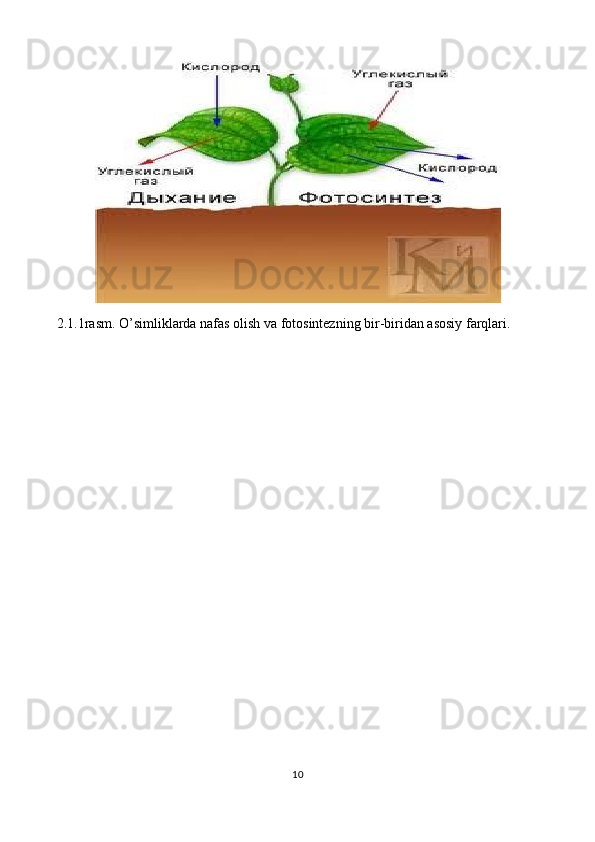 2.1.1rasm. O’simliklarda nafas olish va fotosintezning bir-biridan asosiy farqlari.
        
10