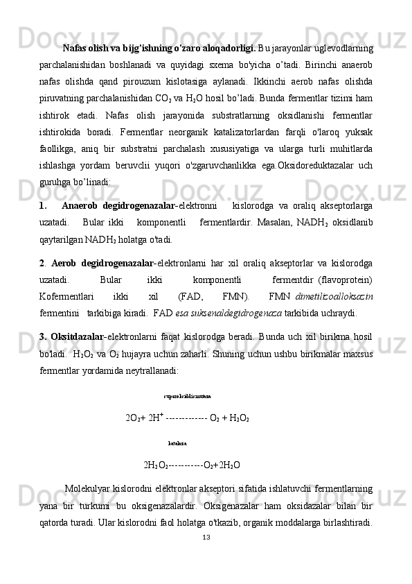 Nafas olish va bijg'ishning o'zaro aloqadorligi.  Bu jarayonlar uglevodlarning
parchalanishidan   boshlanadi   va   quyidagi   sxema   bo'yicha   o’tadi.   Birinchi   anaerob
nafas   olishda   qand   pirouzum   kislotasiga   aylanadi.   Ikkinchi   aerob   nafas   olishda
piruvatning parchalanishidan CO
2  va H
2 O hosil bo’ladi. Bunda fermentlar tizimi ham
ishtirok   etadi.   Nafas   olish   jarayonida   substratlarning   oksidlanishi   fermentlar
ishtirokida   boradi.   Fermentlar   neorganik   katalizatorlardan   farqli   o'laroq   yuksak
faollikga,   aniq   bir   substratni   parchalash   xususiyatiga   va   ularga   turli   muhitlarda
ishlashga   yordam   beruvclii   yuqori   o'zgaruvchanlikka   ega.Oksidoreduktazalar   uch
guruhga bo’linadi:
1.       Anaerob   de gidrogenazalar- elektronni       kislorodga   va   oraliq   akseptorlarga
uzatadi.       Bular   ikki       komponentli       fermentlardir.   Masalan,   NADH
2   oksidlanib
qaytarilgan NADH
2  holatga o'tadi.
2 .   Aerob   degidrogenazalar- elektronlarni   har   xil   oraliq   akseptorlar   va   kislorodga
uzatadi.             Bular           ikki             komponentli             fermentdir   (flavoprotein)
Kofermentlari           ikki           xil           (FAD,           FMN).           FMN   dimetilizoalloksazin
fermentini   tarkibiga kiradi.  FAD  esa suksenaldegidrogenaza  tarkibida uchraydi.
3.   Oksitdazalar- elektronlarni   faqat   kislorodga   beradi.   Bunda   uch   xil   birikma   hosil
bo'ladi.  H
2 O
2    va O
2  hujayra uchun zaharli. Shuning uchun ushbu birikmalar maxsus
fermentlar yordamida neytrallanadi:
                                                   
 superoksiddismutaza
                                     2O
2 + 2H +
 ------------- O
2  + H
2 O
2
                                                                                            katalaza
                                           2H
2 O
2 -----------O
2 +2H
2 O
          Molekulyar kislorodni elektronlar akseptori sifatida ishlatuvchi fermentlarning
yana   bir   turkumi   bu   oksigenazalardir.   Oksigenazalar   ham   oksidazalar   bilan   bir
qatorda turadi. Ular kislorodni faol holatga o'tkazib, organik moddalarga birlashtiradi.
13