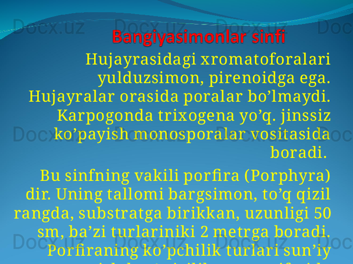     Hujayrasidagi x r omat oforalar i 
yulduzsimon, pir enoidga ega. 
Hujayralar  orasida poralar  bo’lmaydi. 
Kar pogonda tr ix ogena yo’q. jinssiz 
ko’payish monosporalar  vosit asida 
boradi. 
    Bu sinfning vak ili por fi ra ( Por phyra)  
dir. Uning t allomi bar gsimon, t o’q qizil 
rangda, substrat ga bir ik kan, uzunligi 50 
sm, ba’zi t ur lar inik i 2 metr ga boradi. 
Por fi raning ko’pchilik  t ur lar i sun’iy 
ravishda o’stir ilib, ovqat  sifat ida 
ist e’mol qilinadi. 