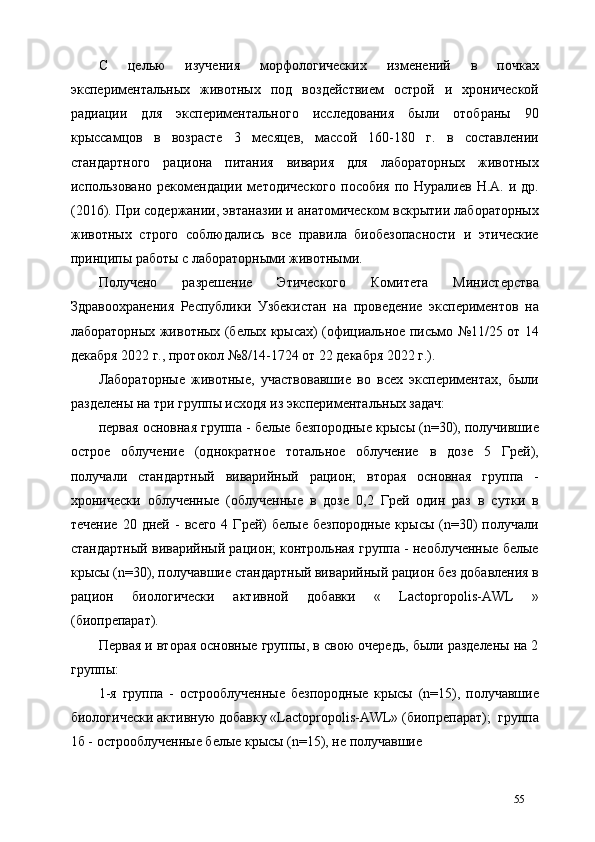 С   целью   изучения   морфологических   изменений   в   почках
экспериментальных   животных   под   воздействием   острой   и   хронической
радиации   для   экспериментального   исследования   были   отобраны   90
крыссамцов   в   возрасте   3   месяцев,   массой   160-180   г.   в   составлении
стандартного   рациона   питания   вивария   для   лабораторных   животных
использовано  рекомендации  методического   пособия  по Нуралиев  Н.А.  и др.
(2016). При содержании, эвтаназии и анатомическом вскрытии лабораторных
животных   строго   соблюдались   все   правила   биобезопасности   и   этические
принципы работы с лабораторными животными. 
Получено   разрешение   Этического   Комитета   Министерства
Здравоохранения   Республики   Узбекистан   на   проведение   экспериментов   на
лабораторных животных (белых крысах) (официальное письмо №11/25 от 14
декабря 2022 г., протокол №8/14-1724 от 22 декабря 2022 г.). 
Лабораторные   животные,   участвовавшие   во   всех   экспериментах,   были
разделены на три группы исходя из экспериментальных задач: 
первая основная группа - белые безпородные крысы (n=30), получившие
острое   облучение   (однократное   тотальное   облучение   в   дозе   5   Грей),
получали   стандартный   виварийный   рацион;   вторая   основная   группа   -
хронически   облученные   (облученные   в   дозе   0,2   Грей   один   раз   в   сутки   в
течение   20   дней  -   всего   4  Грей)   белые   безпородные   крысы   (n=30)   получали
стандартный виварийный рацион; контрольная группа - необлученные белые
крысы (n=30), получавшие стандартный виварийный рацион без добавления в
рацион   биологически   активной   добавки   «   Lactopropolis-AWL   »
(биопрепарат). 
Первая и вторая основные группы, в свою очередь, были разделены на 2
группы:  
1-я   группа   -   острооблученные   безпородные   крысы   (n=15),   получавшие
биологически активную добавку «Lactopropolis-AWL» (биопрепарат);  группа
1б - острооблученные белые крысы (n=15), не получавшие 
55 