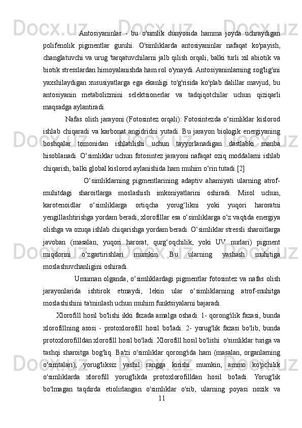                     Antosiyaninlar   -   bu   o'simlik   dunyosida   hamma   joyda   uchraydigan
polifenolik   pigmentlar   guruhi.   O'simliklarda   antosiyaninlar   nafaqat   ko'payish,
changlatuvchi va urug 'tarqatuvchilarni jalb qilish orqali, balki turli xil abiotik va
biotik stresslardan himoyalanishda ham rol o'ynaydi. Antosiyaninlarning sog'lig'ini
yaxshilaydigan   xususiyatlarga   ega   ekanligi   to'g'risida   ko'plab   dalillar   mavjud,   bu
antosiyanin   metabolizmini   selektsionerlar   va   tadqiqotchilar   uchun   qiziqarli
maqsadga aylantiradi.
                 Nafas olish  jarayoni  (Fotosintez orqali):  Fotosintezda o‘simliklar  kislorod
ishlab   chiqaradi   va   karbonat   angidridni   yutadi.   Bu   jarayon   biologik   energiyaning
boshqalar   tomonidan   ishlatilishi   uchun   tayyorlanadigan   dastlabki   manba
hisoblanadi. O‘simliklar uchun fotosintez jarayoni nafaqat oziq moddalarni ishlab
chiqarish, balki global kislorod aylanishida ham muhim o‘rin tutadi.[2]
                        O‘simliklarning   pigmentlarining   adaptiv   ahamiyati   ularning   atrof-
muhitdagi   sharoitlarga   moslashish   imkoniyatlarini   oshiradi.   Misol   uchun,
karotenoidlar   o‘simliklarga   ortiqcha   yorug‘likni   yoki   yuqori   haroratni
yengillashtirishga yordam beradi, xlorofillar esa o‘simliklarga o‘z vaqtida energiya
olishga va ozuqa ishlab chiqarishga yordam beradi. O‘simliklar stressli sharoitlarga
javoban   (masalan,   yuqori   harorat,   qurg‘oqchilik,   yoki   UV   nurlari)   pigment
miqdorini   o‘zgartirishlari   mumkin.   Bu   ularning   yashash   muhitiga
moslashuvchanligini oshiradi.
                         Umuman olganda, o‘simliklardagi pigmentlar  fotosintez va nafas olish
jarayonlarida   ishtirok   etmaydi,   lekin   ular   o‘simliklarning   atrof-muhitga
moslashishini ta'minlash uchun muhim funktsiyalarni bajaradi.
           Xlorofill hosil bo'lishi ikki fazada amalga oshadi. 1- qorong'ilik fazasi, bunda
xlorofillning   asosi   -   protoxlorofill   hosil   bo'ladi.   2-   yorug'lik   fazasi   bo'lib,   bunda
protoxlorofilldan xlorofill hosil bo'ladi. Xlorofill hosil bo'lishi  o'simliklar turiga va
tashqi   sharoitga   bog'liq.   Ba'zi   o'simliklar   qorong'ida   ham   (masalan,   organlarning
o'simtalari),   yorug'liksiz   yashil   rangga   kirishi   mumkin,   ammo   ko'pchilik
o'simliklarda   xlorofill   yorug'likda   protoxlorofilldan   hosil   bo'ladi.   Yorug'lik
bo'lmagan   taqdirda   etiolirlangan   o'simliklar   o'sib,   ularning   poyasi   nozik   va
11 
