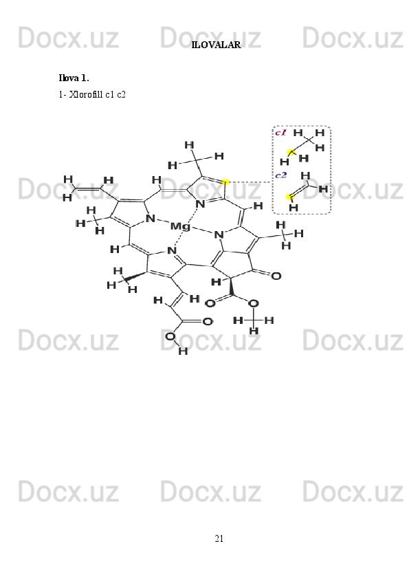                                                        ILOVALAR 
Ilova 1.
1-   Xlorofill c1 c2
21 