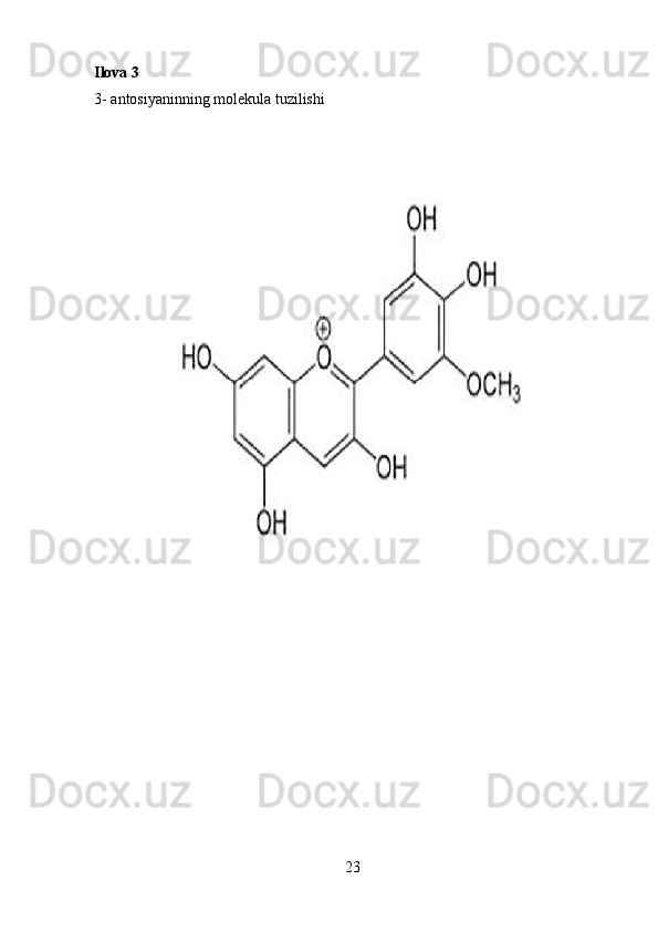 Ilova 3
3-  antosiyaninning molekula tuzilishi
23 