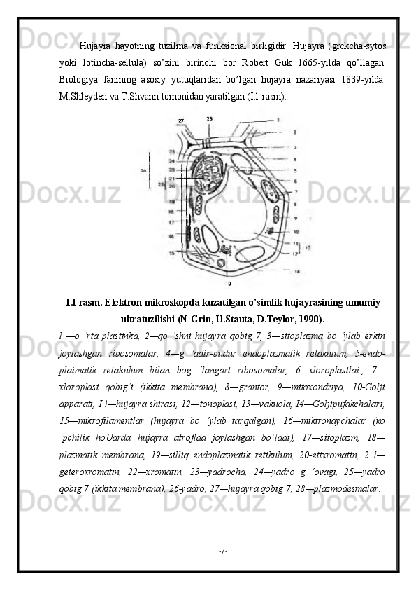 Hujayra   hayotning   tuzilma   va   funksional   birligidir.   Hujayra   (grekcha-sytos
yoki   lotincha-sellula)   so’zini   birinchi   bor   Robert   Guk   1665-yilda   qo’llagan.
Biologiya   fanining   asosiy   yutuqlaridan   bo’lgan   hujayra   nazariyasi   1839-yilda.
M.Shleyden va T.Shvann tomonidan yaratilgan (I.l-rasm).
1.l-rasm. Elektron mikroskopda kuzatilgan o’simlik hujayrasining umumiy
ultratuzilishi (N-Grin, U.Stauta, D.Teylor, 1990).
l   —o   ‘rta   plastinka,   2—qo   ‘shni   hujayra   qobig   7,   3—sitoplazma   bo   ‘ylab   erkin
joylashgan   ribosomalar,   4—g   ‘adir-budur   endoplazmatik   retakulum,   5-endo-
plaimatik   retakulum   bilan   bog   ‘langart   ribosomalar,   6—xloroplastlai-,   7—
xloroplast   qobig’i   (ikkita   membrana),   8—grantor,   9—mitoxondriya,   10-Golji
apparati, I !—hujayra shirasi, 12—tonoplast, 13—vakuola, I4—Goljipufakchalari,
15—mikrofilamentlar   (hujayra   bo   ‘ylab   tarqalgan),   16—miktronaychalar   (ко
‘pchilik   hoUarda   hujayra   atroflda   joylashgan   bo’ladi),   17—sitoplazm,   18—
plazmatik   membrana,   19—silliq   endoplazmatik   retikulum,   20-ettxromatin,   2   l—
geteroxromatin,   22—xromatin,   23—yadrocha,   24—yadro   g   ‘ovagi,   25—yadro
qobig 7 (ikkita membrana), 26-yadro, 27—hujayra qobig 7, 28—plazmodesmalar.
- 7 -