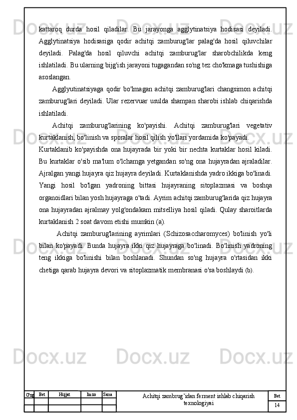 № Хужжат
Изм
14Bet
Achitqi zambrug’idan ferment ishlab chiqarish 
texnologiyaiSanaImzoBet
Hujjat
O'zg kattaroq   durda   hosil   qiladilar.   Bu   jarayonga   agglytinatsiya   hodisasi   deyiladi.
Agglytinatsiya   hodisasiga   qodir   achitqi   zamburug'lar   palag'da   hosil   qiluvchilar
deyiladi.   Palag'da   hosil   qiluvchi   achitqi   zamburug'lar   sharobchilikda   keng
ishlatiladi.  Bu ularning bijg'ish jarayoni tugagandan so'ng tez cho'kmaga tushishiga
asoslangan.
Agglyutinatsiyaga  qodir   bo'lmagan  achitqi  zamburug'lari   changsimon  achitqi
zamburug'lari  deyiladi. Ular  rezervuar usulda shampan  sharobi  ishlab chiqarishda
ishlatiladi.
Achitqi   zamburug'larining   ko'payishi.   Achitqi   zamburug'lari   vegetativ
kurtaklanish, bo'linish va sporalar hosil qilish yo'llari yordamida ko'payadi.
Kurtaklanib   ko'payishda   ona   hujayrada   bir   yoki   bir   nechta   kurtaklar   hosil   kiladi.
Bu   kurtaklar   o'sib   ma'lum   o'lchamga   yetgandan   so'ng   ona   hujayradan   ajraladilar.
Ajralgan yangi hujayra qiz hujayra deyiladi. Kurtaklanishda yadro ikkiga bo'linadi.
Yangi   hosil   bo'lgan   yadroning   bittasi   hujayraning   sitoplazmasi   va   boshqa
organoidlari bilan yosh hujayraga o'tadi. Ayrim achitqi zamburug'larida qiz hujayra
ona hujayradan ajralmay yolg'ondakam  mitselliya  hosil  qiladi. Qulay sharoitlarda
kurtaklanish 2 soat davom etishi mumkin (a).
Achitqi   zamburug'larining   ayrimlari   (Schizosaccharomyces)   bo'linish   yo'li
bilan   ko'payadi.   Bunda   hujayra   ikki   qiz   hujayraga   bo'linadi.   Bo'linish   yadroning
teng   ikkiga   bo'linishi   bilan   boshlanadi.   Shundan   so'ng   hujayra   o'rtasidan   ikki
chetiga qarab hujayra devori va sitoplazmatik membranasi o'sa boshlaydi  (b). 