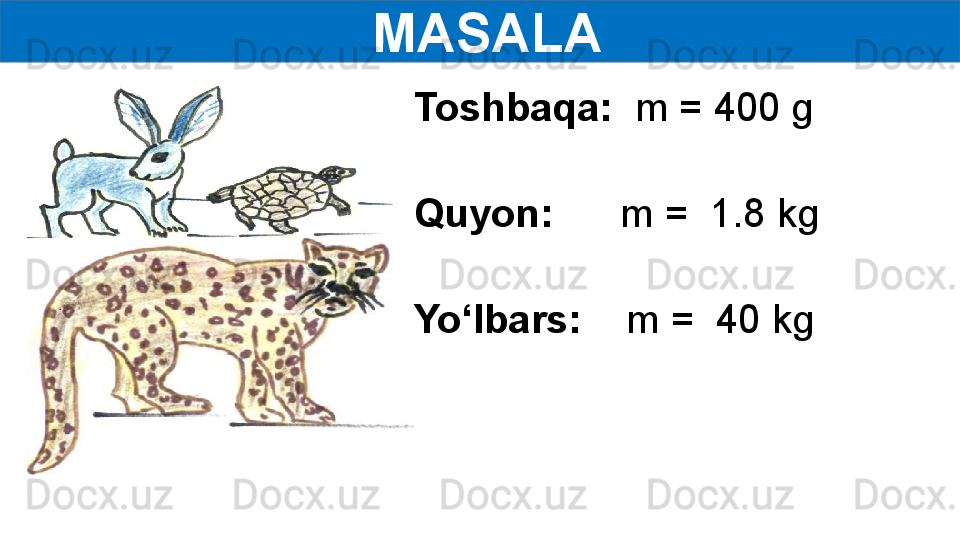   MASALA
Toshbaqa:   m = 400 g
                 
Quyon:       m =  1.8 kg
                  
Yo‘lbars:     m =  40 kg 