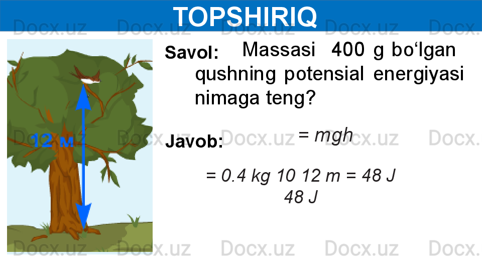   TOPSHIRIQ
            Massasi    400  g  bo‘lgan   
qushning  potensial  energiyasi 
nimaga teng?
= mgh  Savol:
Javob:
= 0.4 kg 10 12 m = 48 J
48 J 