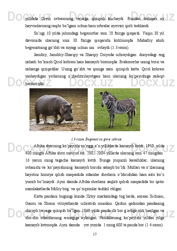 yillikda   Grevi   zebrasining   terisiga   qiziqish   kuchaydi.   Bundan   tashqari   uy
hayvonlarining raqibi bo’lgani uchun ham zebralar ayovsiz qirib tashlandi.
So’ngi   10   yilda   jahondagi   begemotlar   soni   20   foizga   qisqardi.   Yaqin   30   yil
davomida   ularning   soni   30   foizga   qisqarishi   kutilmoqda.   Mahalliy   aholi
begemotning go’shti va suyagi uchun uni      ovlaydi (1.3-rasm).
Janubiy,   Janubliy-Sharqiy   va   Sharqiy   Osiyoda   uchraydigan     dunyodagi   eng
zaharli bo’lmish Qirol kobrasi ham kamayib bormoqda. Brakonerlar uning terisi va
zahariga   qiziqadilar.   Uning   go’shti   va   qoniga   xam     qiziqish   katta.   Qirol   kobrasi
yashaydigan   yerlarning   o’zlashtirilayotgani   ham   ularning   ko’payishiga   xalaqit
bermorqda.
        
1.3-rasm. Begemot va grevi zebrasi.
Afrika sherining ko’payishi so’nggi o’n yilliklarda kamayib ketdi. 1950    yilda
400 mingta Afrika sheri mavjud edi. 2002-2004-yillarda ularning soni 47 mingdan    
16   yarim   ming   tagacha   kamayib   ketdi.   Bunga   yuqumli   kasalliklar,   ularning
ovlanishi va    ko’payishining    kamayib borishi sabapb bo’ldi. Mollari va o’zlarining
hayotini   himoya   qilish   maqsadida   odamlar   sherlarni   o’ldirishdan   ham   aslo   ko’z
yumib bo’lmaydi. Ayni damda Afrika sherlarni saqlab qolish maqsadida bir qator
mamlakatlarda Milliy bog` va qo’riqxonlar tashkil etilgan.
Katta   pandani   bugungi   kunda   Xitoy   markazidagi   tog`larda,   asosan   Sichuan,
Gansu   va   Shensi   viloyatlarida   uchratish   mumkin.   Qadim   qadimdan   pandaning
chiroyli terisiga qiziqish bo’lgan. 1869-yilda panda ilk bor g`arbga olib borilgan va
shu-shu   odamlarning   ermagiga   aylangan.   Pandalarning   ko’payishi   yildan   yilga
kamayib ketmoqda. Ayni damda        yer yuzida    1 ming 600 ta panda bor (1.4-rasm).
17 