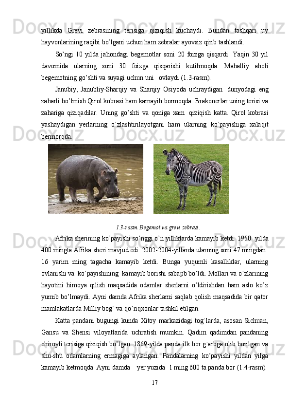 yillikda   Grevi   zebrasining   terisiga   qiziqish   kuchaydi.   Bundan   tashqari   uy
hayvonlarining raqibi bo’lgani uchun ham zebralar ayovsiz qirib tashlandi.
So’ngi   10   yilda   jahondagi   begemotlar   soni   20   foizga   qisqardi.   Yaqin   30   yil
davomida   ularning   soni   30   foizga   qisqarishi   kutilmoqda.   Mahalliy   aholi
begemotning go’shti va suyagi uchun uni      ovlaydi (1.3-rasm).
Janubiy,   Janubliy-Sharqiy   va   Sharqiy   Osiyoda   uchraydigan     dunyodagi   eng
zaharli bo’lmish Qirol kobrasi ham kamayib bormoqda. Brakonerlar uning terisi va
zahariga   qiziqadilar.   Uning   go’shti   va   qoniga   xam     qiziqish   katta.   Qirol   kobrasi
yashaydigan   yerlarning   o’zlashtirilayotgani   ham   ularning   ko’payishiga   xalaqit
bermorqda.
        
1.3-rasm. Begemot va grevi zebrasi.
Afrika sherining ko’payishi so’nggi o’n yilliklarda kamayib ketdi. 1950    yilda
400 mingta Afrika sheri mavjud edi. 2002-2004-yillarda ularning soni 47 mingdan    
16   yarim   ming   tagacha   kamayib   ketdi.   Bunga   yuqumli   kasalliklar,   ularning
ovlanishi va    ko’payishining    kamayib borishi sabapb bo’ldi. Mollari va o’zlarining
hayotini   himoya   qilish   maqsadida   odamlar   sherlarni   o’ldirishdan   ham   aslo   ko’z
yumib bo’lmaydi. Ayni damda Afrika sherlarni saqlab qolish maqsadida bir qator
mamlakatlarda Milliy bog` va qo’riqxonlar tashkil etilgan.
Katta   pandani   bugungi   kunda   Xitoy   markazidagi   tog`larda,   asosan   Sichuan,
Gansu   va   Shensi   viloyatlarida   uchratish   mumkin.   Qadim   qadimdan   pandaning
chiroyli terisiga qiziqish bo’lgan. 1869-yilda panda ilk bor g`arbga olib borilgan va
shu-shu   odamlarning   ermagiga   aylangan.   Pandalarning   ko’payishi   yildan   yilga
kamayib ketmoqda. Ayni damda        yer yuzida    1 ming 600 ta panda bor (1.4-rasm).
17