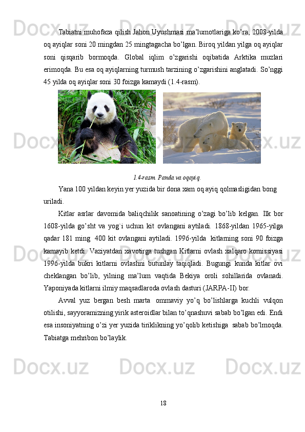 Tabiatni muhofaza qilish Jahon Uyushmasi ma’lumotlariga ko’ra, 2008-yilda
oq ayiqlar soni 20 mingdan 25 mingtagacha bo’lgan. Biroq yildan yilga oq ayiqlar
soni   qisqarib   bormoqda.   Global   iqlim   o’zgarishi   oqibatida   Arktika   muzlari
erimoqda. Bu esa oq ayiqlarning turmush tarzining o’zgarishini anglatadi. So’nggi
45 yilda oq ayiqlar soni 30 foizga kamaydi (1.4-rasm).
      
1.4-rasm. Panda va oqayiq.
Yana 100 yildan keyin yer yuzida bir dona xam oq ayiq qolmasligidan bong        
uriladi.
Kitlar   asrlar   davomida   baliqchilik   sanoatining   o’zagi   bo’lib   kelgan.   Ilk   bor
1608-yilda   go’sht   va   yog`i   uchun   kit   ovlangani   aytiladi.   1868-yildan   1965-yilga
qadar   181   ming     400   kit   ovlangani   aytiladi.  1996-yilda     kitlarning  soni   90   foizga
kamayib ketdi.  Vaziyatdan  xavotirga tushgan  Kitlarni  ovlash  xalqaro  komissiyasi
1996-yilda   bukri   kitlarni   ovlashni   butunlay   taqiqladi.   Bugungi   kunda   kitlar   ovi
cheklangan   bo’lib,   yilning   ma’lum   vaqtida   Bekiya   oroli   sohillarida   ovlanadi.
Yaponiyada kitlarni ilmiy maqsadlaroda ovlash dasturi (JARPA-II) bor.
Avval   yuz   bergan   besh   marta     ommaviy   yo’q   bo’lishlarga   kuchli   vulqon
otilishi, sayyoramizning yirik asteroidlar bilan to’qnashuvi sabab bo’lgan edi. Endi
esa insoniyatning o’zi yer yuzida tiriklikning yo’qolib ketishiga    sabab bo’lmoqda.
Tabiatga mehribon bo’laylik.
18 