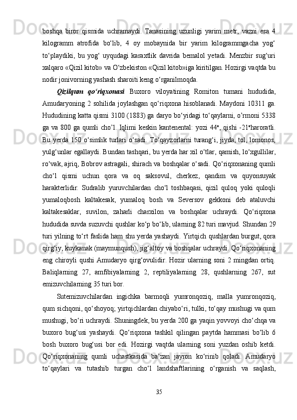 boshqa   biror   qismida   uchramaydi.   Tanasining   uzunligi   yarim   metr,   vazni   esa   4
kilogramm   atrofida   bo‘lib,   4   oy   mobaynida   bir   yarim   kilogrammgacha   yog‘
to‘playdiki,   bu   yog‘   uyqudagi   karaxtlik   davrida   bemalol   yetadi.   Menzbir   sug‘uri
xalqaro «Qizil kitob» va O‘zbekiston «Qizil kitob»iga kiritilgan. Hozirgi vaqtda bu
nodir jonivorning yashash sharoiti keng o‘rganilmoqda. 
Qizilqum   qo‘riqxonasi   Buxoro   viloyatining   Romiton   tumani   hududida,
Amudaryoning 2 sohilida  joylashgan  qo‘riqxona hisoblanadi. Maydoni  10311 ga.
Hududining katta qismi 3100 (1883) ga daryo bo‘yidagi to‘qaylarni, o’rmoni 5338
ga va 800 ga qumli cho’l. Iqlimi keskin kantenental: yozi 44 o
, qishi -21 o
haroratli.
Bu yerda 150 o‘simlik turlari o‘sadi. To‘qayzorlarni turang‘i, jiyda, tol, lomonos,
yulg‘unlar egallaydi. Bundan tashqari, bu yerda har xil o‘tlar, qamish, lo‘xgullilar,
ro‘vak, ajriq, Bobrov astragali, shirach va boshqalar o‘sadi. Qo‘riqxonaning qumli
cho‘l   qismi   uchun   qora   va   oq   saksovul,   cherkez,   qandim   va   quyonsuyak
harakterlidir.   Sudralib   yuruvchilardan   cho‘l   toshbaqasi,   qizil   quloq   yoki   quloqli
yumaloqbosh   kaltakesak,   yumaloq   bosh   va   Seversov   gekkoni   deb   ataluvchi
kaltakesaklar,   suvilon,   zaharli   charxilon   va   boshqalar   uchraydi.   Qo‘riqxona
hududida suvda suzuvchi qushlar ko‘p bo‘lib, ularning 82 turi mavjud.  Shundan 29
turi yilning to‘rt faslida ham shu yerda yashaydi. Yirtqich qushlardan burgut, qora
qirg‘iy, kuykanak (maymunqush), jig‘altoy va boshqalar uchraydi. Qo‘riqxonaning
eng  chiroyli   qushi   Amudaryo   qirg‘ovulidir.   Hozir   ularning   soni   2  mingdan   ortiq.
Baliqlarning   27,   amfibiyalarning   2,   reptiliyalarning   28,   qushlarning   267,   sut
emizuvchilarning 35 turi bor.
Sutemizuvchilardan   ingichka   barmoqli   yumronqoziq,   malla   yumronqoziq,
qum sichqoni, qo‘shoyoq; yirtqichlardan chiyabo‘ri, tulki, to‘qay mushugi va qum
mushugi, bo‘ri uchraydi. Shuningdek, bu yerda 200 ga yaqin yovvoyi cho‘chqa va
buxoro   bug‘usi   yashaydi.   Qo‘riqxona   tashkil   qilingan   paytda   hammasi   bo‘lib   6
bosh   buxoro   bug‘usi   bor   edi.   Hozirgi   vaqtda   ularning   soni   yuzdan   oshib   ketdi.
Qo‘riqxonaning   qumli   uchastkasida   ba’zan   jayron   ko‘rinib   qoladi.   Amudaryo
to‘qaylari   va   tutashib   turgan   cho‘l   landshaftlarining   o‘rganish   va   saqlash,
35 