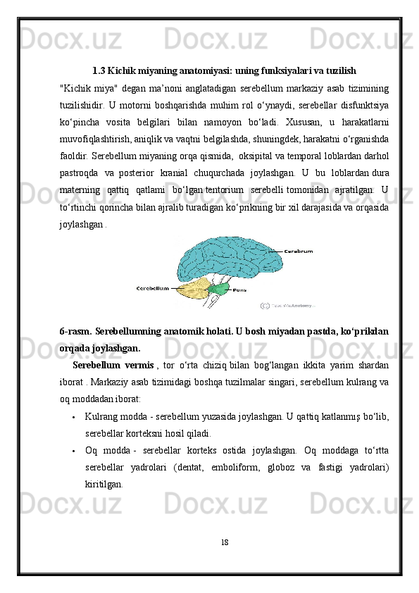 1.3   Kichik miyaning anatomiyasi: uning funksiyalari va tuzilish
"Kichik   miya"   degan   ma’noni   anglatadigan   serebellum   markaziy   asab   tizimining
tuzilishidir.   U   motorni   boshqarishda   muhim   rol   o‘ynaydi,   serebellar   disfunktsiya
ko‘pincha   vosita   belgilari   bilan   namoyon   bo‘ladi.   Xususan,   u   harakatlarni
muvofiqlashtirish, aniqlik va vaqtni belgilashda, shuningdek, harakatni o‘rganishda
faoldir.  Serebellum miyaning orqa qismida,     oksipital   va   temporal   loblardan   darhol
pastroqda   va     posterior   kranial   chuqurchada   joylashgan.   U   bu   loblardan   dura
materning   qattiq   qatlami   bo‘lgan   tentorium   serebelli   tomonidan   ajratilgan.   U
to‘rtinchi qorincha bilan ajralib turadigan   ko‘prikning   bir xil darajasida va orqasida
joylashgan .
6-rasm. Serebellumning anatomik holati. U bosh miyadan pastda, ko‘prikdan
orqada joylashgan.
Serebellum   vermis   ,   tor   o‘rta   chiziq   bilan   bog‘langan   ikkita   yarim   shardan
iborat .   Markaziy asab tizimidagi boshqa tuzilmalar singari, serebellum kulrang va
oq moddadan iborat:
 Kulrang modda   - serebellum yuzasida joylashgan. U qattiq katlanmış bo‘lib,
serebellar korteksni hosil qiladi.
 Oq   modda   -   serebellar   korteks   ostida   joylashgan.   Oq   moddaga   to‘rtta
serebellar   yadrolari   (dentat,   emboliform,   globoz   va   fastigi   yadrolari)
kiritilgan.
18 