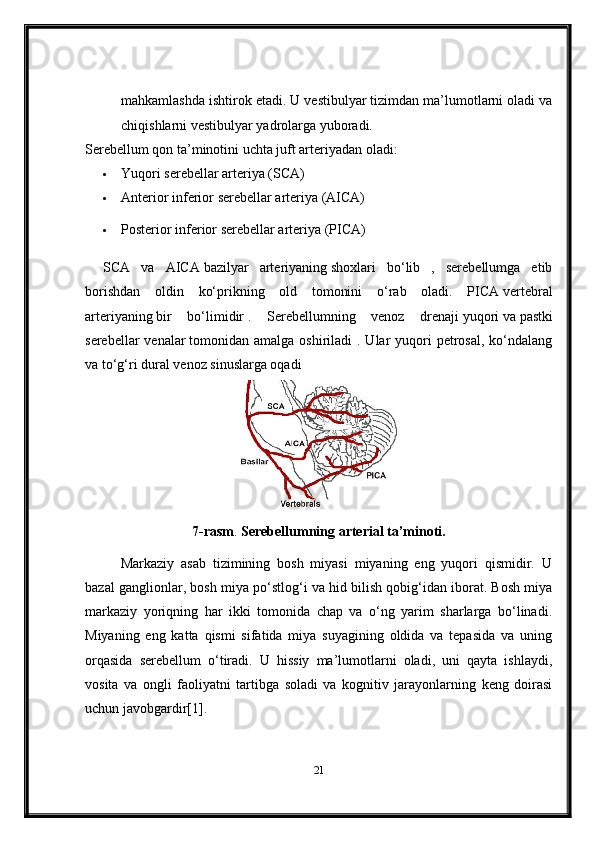 mahkamlashda ishtirok etadi. U vestibulyar tizimdan ma’lumotlarni oladi va
chiqishlarni vestibulyar yadrolarga yuboradi.
Serebellum qon ta’minotini uchta juft arteriyadan oladi:
 Yuqori serebellar arteriya (SCA)
 Anterior inferior serebellar arteriya (AICA)
 Posterior inferior serebellar arteriya (PICA)
SCA   va   AICA   bazilyar   arteriyaning   shoxlari   bo‘lib   ,   serebellumga   etib
borishdan   oldin   ko‘prikning   old   tomonini   o‘rab   oladi.   PICA   vertebral
arteriyaning   bir   bo‘limidir   .   Serebellumning   venoz   drenaji   yuqori   va   pastki
serebellar  venalar   tomonidan amalga  oshiriladi  .  Ular  yuqori  petrosal,  ko‘ndalang
va to‘g‘ri dural venoz sinuslarga oqadi
7-rasm .  Serebellumning arterial ta’minoti.
Markaziy   asab   tizimining   bosh   miyasi   miyaning   eng   yuqori   qismidir.   U
bazal ganglionlar, bosh miya po‘stlog‘i va hid bilish qobig‘idan iborat. Bosh miya
markaziy   yoriqning   har   ikki   tomonida   chap   va   o‘ng   yarim   sharlarga   bo‘linadi.
Miyaning   eng   katta   qismi   sifatida   miya   suyagining   oldida   va   tepasida   va   uning
orqasida   serebellum   o‘tiradi.   U   hissiy   ma’lumotlarni   oladi,   uni   qayta   ishlaydi,
vosita   va   ongli   faoliyatni   tartibga   soladi   va   kognitiv   jarayonlarning   keng   doirasi
uchun javobgardir[1].
21 