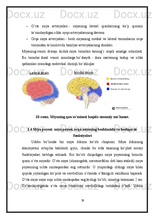  O‘rta   miya   arteriyalari   -   miyaning   lateral   qismlarining   ko‘p   qismini
ta’minlaydigan ichki uyqu arteriyalarining davomi.
 Orqa   miya   arteriyalari   -   bosh   miyaning   medial   va   lateral   tomonlarini   orqa
tomondan ta’minlovchi bazilyar arteriyalarning shoxlari.
Miyaning   venoz   drenaji   kichik   miya   tomirlari   tarmog‘i   orqali   amalga   oshiriladi.
Bu   tomirlar   dural   venoz   sinuslarga   bo‘shaydi   -   dura   materning   tashqi   va   ichki
qatlamlari orasidagi endotelial chiziqli bo‘shliqlar.
10-rasm . Miyaning qon ta’minoti haqida umumiy ma’lumot.
1.6 Miya poyasi: miya poyasi, orqa miyaning boshlanishi va boshqaruv
funksiyalari
Ushbu   bo‘limda   biz   miya   ildizini   ko‘rib   chiqamiz.   Miya   ildizining
ahamiyatini   ortiqcha   baholash   qiyin,   chunki   bu   erda   tananing   ko‘plab   asosiy
funktsiyalari   tartibga   solinadi.   Biz   ko‘rib   chiqadigan   miya   poyasining   birinchi
qismi o‘rta miyadir. O‘rta miya (shuningdek, mezensefalon deb ham ataladi) miya
poyasining   uchta   mintaqasidan   eng   ustunidir.   U   yuqoridagi   oldingi   miya   bilan
quyida   joylashgan   ko‘prik   va   serebellum   o‘rtasida   o‘tkazgich   vazifasini   bajaradi.
O‘rta miya miya sopi uchta mintaqadan eng kichigi bo‘lib, uzunligi taxminan 2 sm.
Ko‘tarilayotganda   o‘rta   miya   tentorium   serebellidagi   teshikdan   o‘tadi.   Ushbu
26 