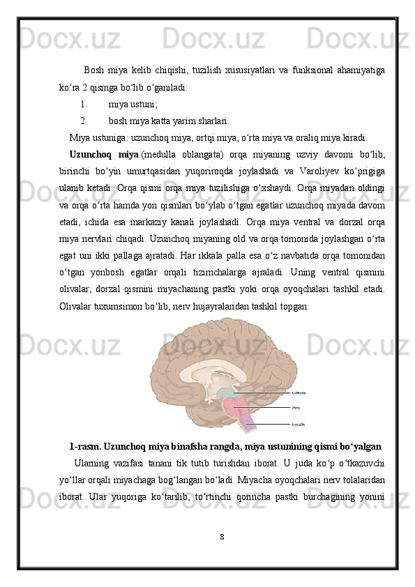 Bosh   miya   kelib   chiqishi,   tuzilish   xususiyatlari   va   funksional   ahamiyatiga
ko ra 2 qismga bo lib o ganiladi:ʻ ʻ ʻ
1. miya ustuni;
2. bosh miya katta yarim sharlari.
Miya ustuniga: uzunchoq miya, ortqi miya, o rta miya va oraliq miya kiradi.	
ʻ  
Uzunchoq   miya   (medulla   oblangata)   orqa   miyaning   uzviy   davomi   bo lib,	
ʻ
birinchi   bo yin   umurtqasidan   yuqoriroqda   joylashadi   va   Varoliyev   ko prigiga	
ʻ ʻ
ulanib  ketadi.  Orqa  qismi  orqa  miya  tuzilishiga  o xshaydi.  Orqa  miyadan  oldingi	
ʻ
va orqa o rta hamda yon qismlari bo ylab o tgan egatlar uzunchoq miyada davom	
ʻ ʻ ʻ
etadi,   ichida   esa   markaziy   kanali   joylashadi.   Orqa   miya   ventral   va   dorzal   orqa
miya nervlari chiqadi. Uzunchoq miyaning old va orqa tomonida joylashgan o rta	
ʻ
egat   uni   ikki   pallaga   ajratadi.   Har   ikkala   palla   esa   o z   navbatida   orqa   tomonidan	
ʻ
o tgan   yonbosh   egatlar   orqali   tizimchalarga   ajraladi.   Uning   ventral   qismini	
ʻ
olivalar,   dorzal   qismini   miyachaning   pastki   yoki   orqa   oyoqchalari   tashkil   etadi.
Olivalar tuxumsimon bo lib, nerv hujayralaridan tashkil topgan.	
ʻ
1-rasm. Uzunchoq miya   binafsha   rangda,   miya ustunining   qismi   bo yalgan	
ʻ
  Ularning   vazifasi   tanani   tik   tutib   turishdan   iborat.   U   juda   ko p   o tkazuvchi	
ʻ ʻ
yo llar orqali miyachaga bog langan bo ladi. Miyacha oyoqchalari nerv tolalaridan	
ʻ ʻ ʻ
iborat.   Ular   yuqoriga   ko tarilib,   to rtinchi   qorincha   pastki   burchagining   yonini	
ʻ ʻ
8 
