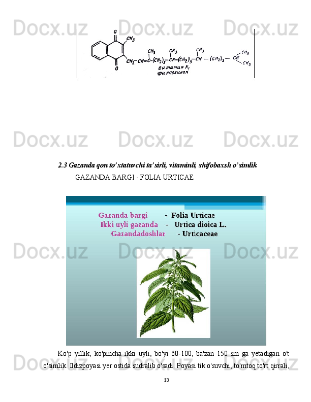    2.3 Gazanda qon to’xtatuvchi ta’sirli, vitaminli, shifobaxsh o’simlik
                  GAZANDA BARGI - FOLIA URTICAE 
          Ko'p   yillik,   ko'pincha   ikki   uyli,   bo'yi   60-100,   ba'zan   150   sm   ga   yetadigan   o't
o'simlik. Ildizpoyasi yer ostida sudralib o'sadi. Poyasi tik o'suvchi, to'mtoq to'rt qirrali,
13 