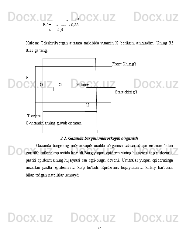           a       1,5
                        Rf =        =     -----    =  0,33     
                                b       4,6
Xulosa:   Tekshirilyotgan   ajratma   tarkibida   vitamin   K   borligini   aniqladim.   Uning   Rf
0,33 ga teng.
    Front Chizig’i
b
             O               O              Vitamin
     Start chizig’i
  
 T-eritma
G-vitaminlarning guvoh eritmasi
               
3.2. Gazanda bargini mikroskopik o'rganish
            Gazanda   bargining   mikroskopik   usulda   o’rganish   uchun   ishqor   eritmasi   bilan
yoritilib mikroskop ostida ko'rildi Barg yuqori epidermisining hujayrasi to'g'ri devorli,
pastki  epidermisining  hujayrasi   esa  egri-bugri  devorli.  Ustitsalar  yuqori   epidermisga
nisbatan   pastki   epidermisda   ko'p   bo'ladi.   Epidermis   hujayralarida   kalsiy   karbonat
bilan to'lgan sistolitlar uchraydi. 
17 
