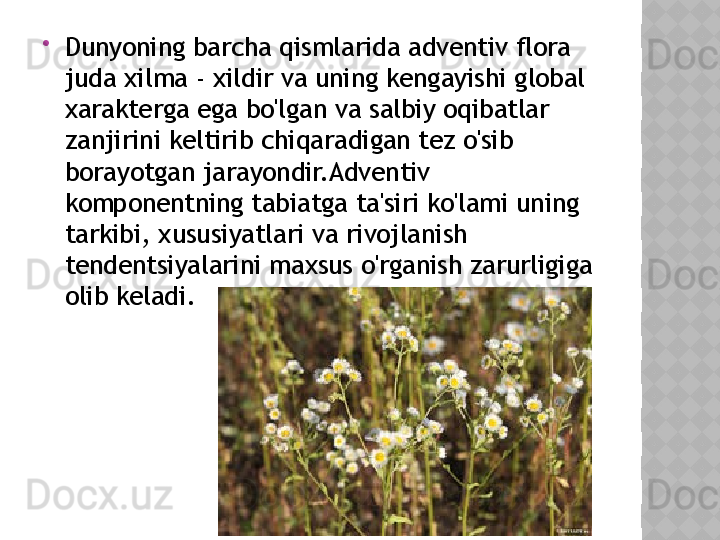 
Dunyoning barcha qismlarida adventiv flora 
juda xilma - xildir va uning kengayishi global 
xarakterga ega bo'lgan va salbiy oqibatlar 
zanjirini keltirib chiqaradigan tez o'sib 
borayotgan jarayondir.Adventiv 
komponentning tabiatga ta'siri ko'lami uning 
tarkibi, xususiyatlari va rivojlanish 
tendentsiyalarini maxsus o'rganish zarurligiga 
olib keladi.  