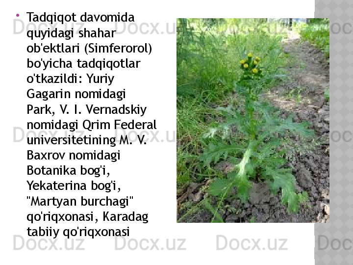 
Tadqiqot davomida 
quyidagi shahar 
ob'ektlari (Simferorol) 
bo'yicha tadqiqotlar 
o'tkazildi: Yuriy 
Gagarin nomidagi 
Park, V. I. Vernadskiy 
nomidagi Qrim Federal 
universitetining M. V. 
Baxrov nomidagi 
Botanika bog'i, 
Yekaterina bog'i, 
"Martyan burchagi" 
qo'riqxonasi, Karadag 
tabiiy qo'riqxonasi  