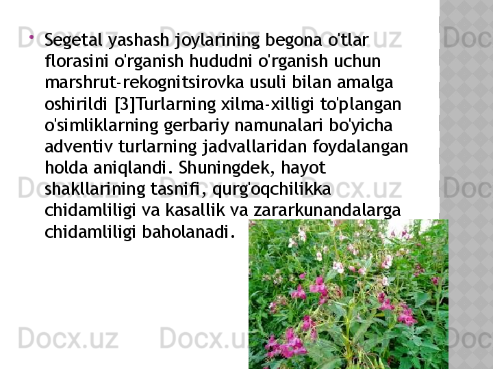 
Segetal yashash joylarining begona o'tlar 
florasini o'rganish hududni o'rganish uchun 
marshrut-rekognitsirovka usuli bilan amalga 
oshirildi [3]Turlarning xilma-xilligi to'plangan 
o'simliklarning gerbariy namunalari bo'yicha 
adventiv turlarning jadvallaridan foydalangan 
holda aniqlandi. Shuningdek, hayot 
shakllarining tasnifi, qurg'oqchilikka 
chidamliligi va kasallik va zararkunandalarga 
chidamliligi baholanadi.  